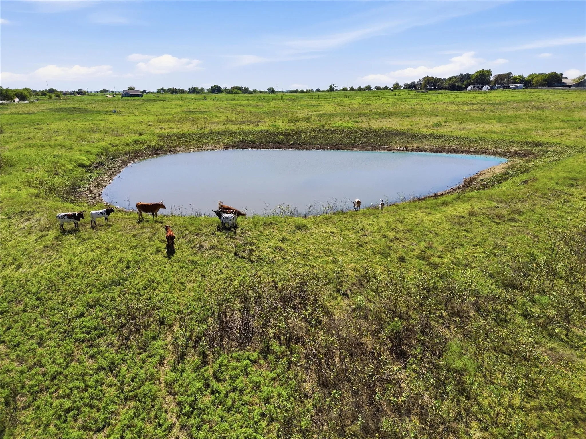 Improved Land For Sale in Johnson County , 7545 CR 1228, Godley, Texas 76044, 0, 0, Garage spaces, 0 Sqft, built in 0, mls#21407652, Real Estate Agent in Godley, Homes For Sale in Johnson county, Homes For Sale in Godley, Realtor in Godley Texas, Real Estate Brokerage Independent Realty Texas, Luminita Cordes Realtor