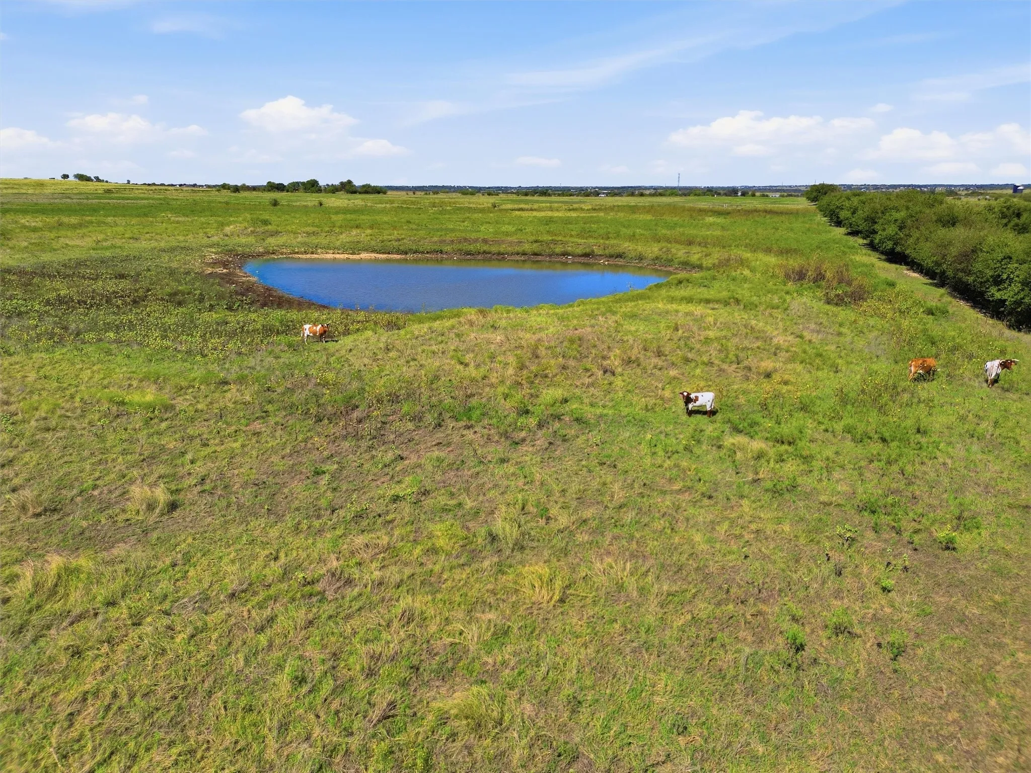 Improved Land For Sale in Johnson County , 7545 CR 1228, Godley, Texas 76044, 0, 0, Garage spaces, 0 Sqft, built in 0, mls#21407652, Real Estate Agent in Godley, Homes For Sale in Johnson county, Homes For Sale in Godley, Realtor in Godley Texas, Real Estate Brokerage Independent Realty Texas, Luminita Cordes Realtor