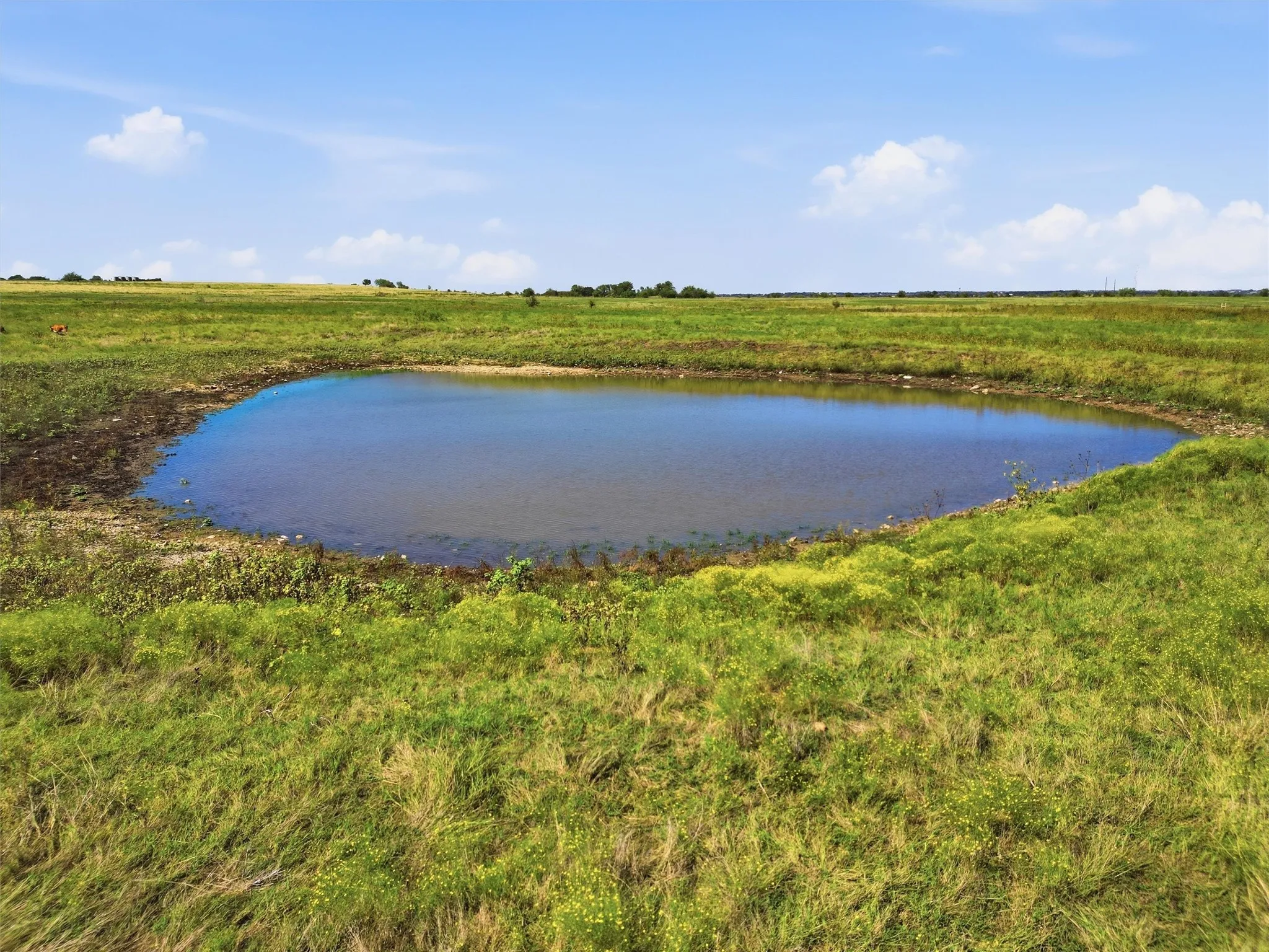 Improved Land For Sale in Johnson County , 7545 CR 1228, Godley, Texas 76044, 0, 0, Garage spaces, 0 Sqft, built in 0, mls#21407652, Real Estate Agent in Godley, Homes For Sale in Johnson county, Homes For Sale in Godley, Realtor in Godley Texas, Real Estate Brokerage Independent Realty Texas, Luminita Cordes Realtor