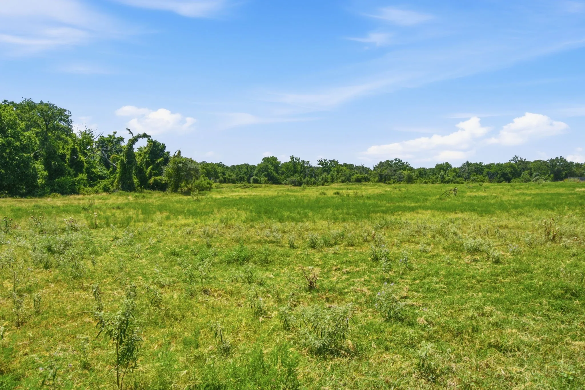 Farm For Sale in Erath County , 3624 County Road 398 12, Stephenville, Texas 76401, 4 Bedroom, 2 Bathroom, 2 Garage spaces, 2,040 Sqft, built in 1999, mls#21408516, Real Estate Agent in Stephenville, Homes For Sale in Erath county, Homes For Sale in Stephenville, Realtor in Stephenville Texas, Real Estate Brokerage Independent Realty Texas, Luminita Cordes Realtor
