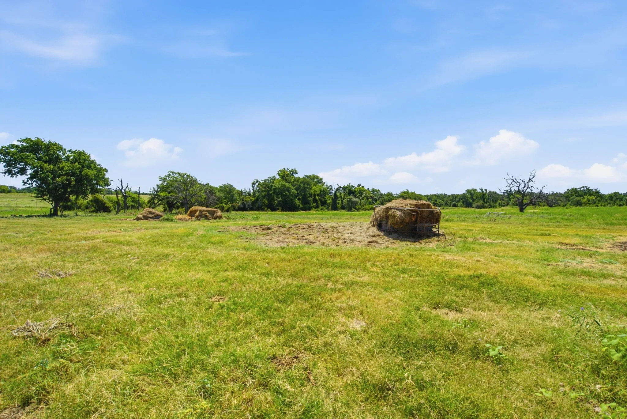 Farm For Sale in Erath County , 3624 County Road 398 12, Stephenville, Texas 76401, 4 Bedroom, 2 Bathroom, 2 Garage spaces, 2,040 Sqft, built in 1999, mls#21408516, Real Estate Agent in Stephenville, Homes For Sale in Erath county, Homes For Sale in Stephenville, Realtor in Stephenville Texas, Real Estate Brokerage Independent Realty Texas, Luminita Cordes Realtor