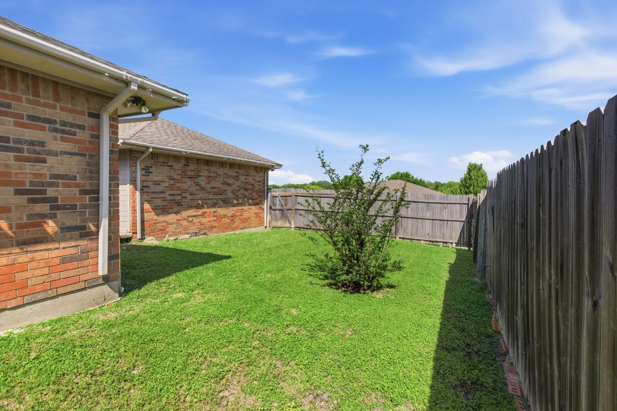 Manicured lawn area featuring a small shrub, wood fencing, and a brick exterior