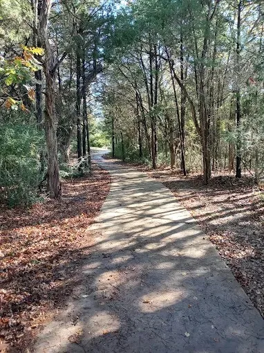 Paved pathway winding through mature trees and natural landscaping