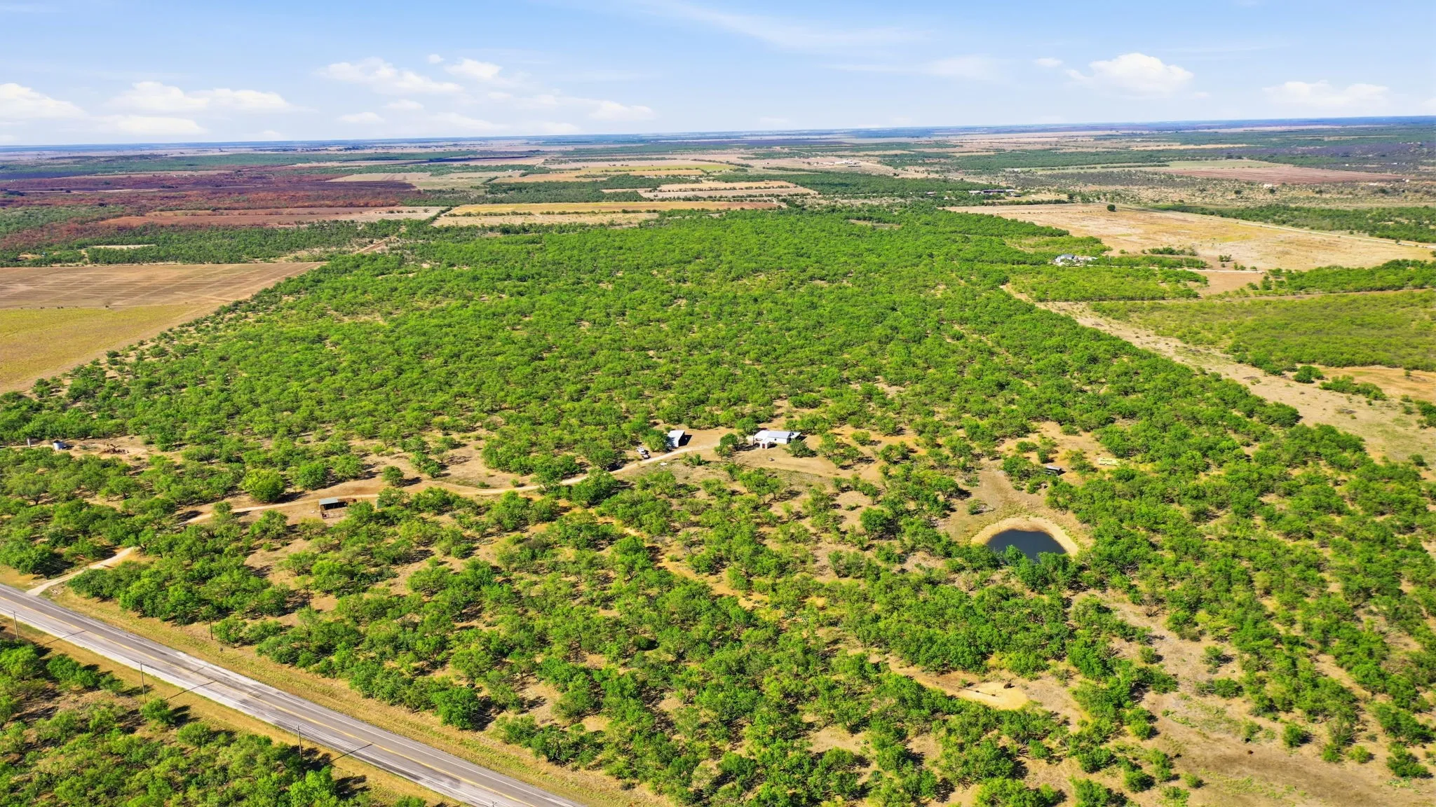 Farm For Sale in Throckmorton County , 3983 N 183 Highway, Woodson, Texas 76491, 1 Bedroom, 1 Bathroom, Garage spaces, 972 Sqft, built in 2016, mls#21408292, Real Estate Agent in Woodson, Homes For Sale in Throckmorton county, Homes For Sale in Woodson, Realtor in Woodson Texas, Real Estate Brokerage Independent Realty Texas, Luminita Cordes Realtor