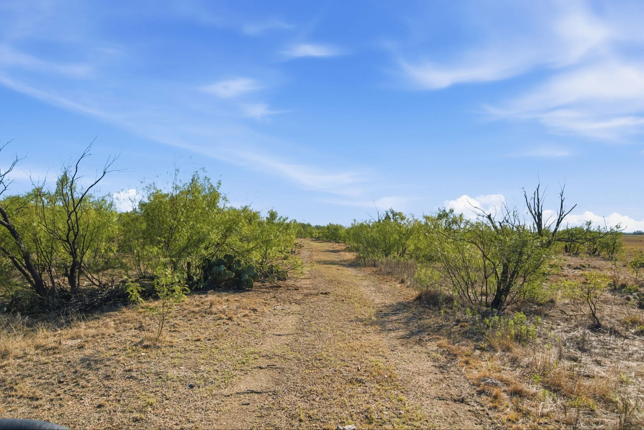 Farm For Sale in Throckmorton County , 3983 N 183 Highway, Woodson, Texas 76491, 1 Bedroom, 1 Bathroom, Garage spaces, 972 Sqft, built in 2016, mls#21408292, Real Estate Agent in Woodson, Homes For Sale in Throckmorton county, Homes For Sale in Woodson, Realtor in Woodson Texas, Real Estate Brokerage Independent Realty Texas, Luminita Cordes Realtor