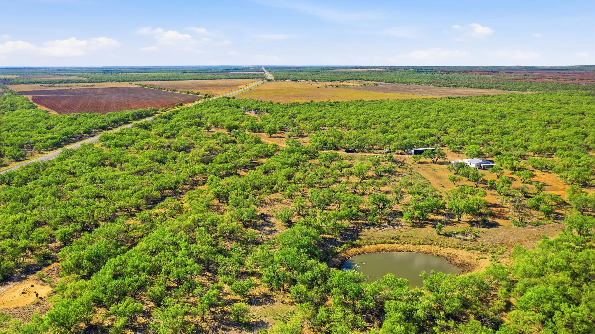 Farm For Sale in Throckmorton County , 3983 N 183 Highway, Woodson, Texas 76491, 1 Bedroom, 1 Bathroom, Garage spaces, 972 Sqft, built in 2016, mls#21408292, Real Estate Agent in Woodson, Homes For Sale in Throckmorton county, Homes For Sale in Woodson, Realtor in Woodson Texas, Real Estate Brokerage Independent Realty Texas, Luminita Cordes Realtor
