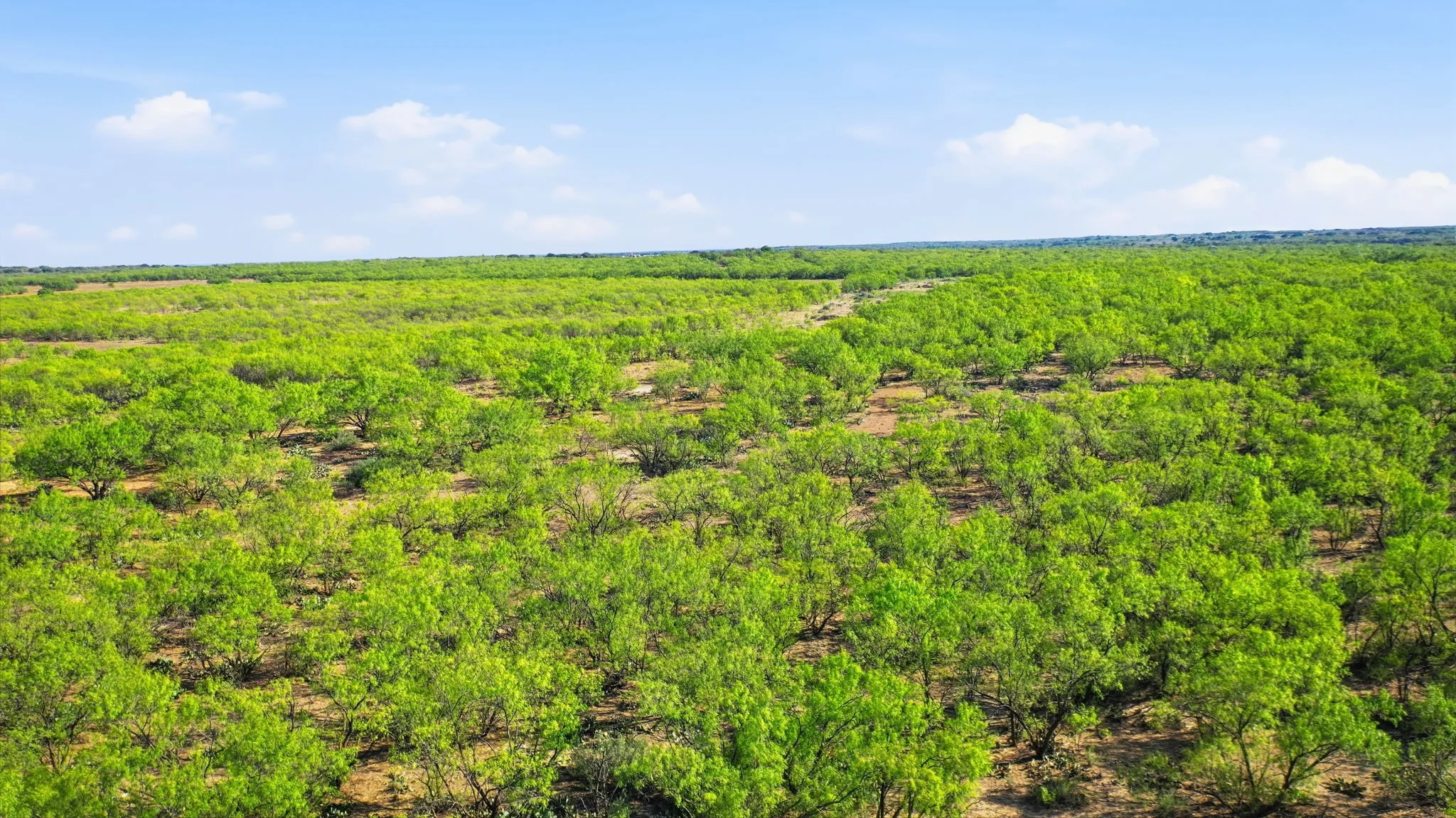 Farm For Sale in Throckmorton County , 3983 N 183 Highway, Woodson, Texas 76491, 1 Bedroom, 1 Bathroom, Garage spaces, 972 Sqft, built in 2016, mls#21408292, Real Estate Agent in Woodson, Homes For Sale in Throckmorton county, Homes For Sale in Woodson, Realtor in Woodson Texas, Real Estate Brokerage Independent Realty Texas, Luminita Cordes Realtor