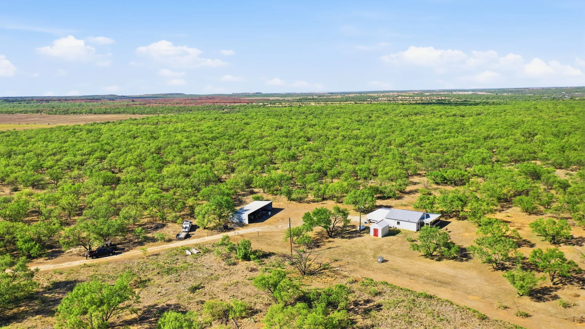 Farm For Sale in Throckmorton County , 3983 N 183 Highway, Woodson, Texas 76491, 1 Bedroom, 1 Bathroom, Garage spaces, 972 Sqft, built in 2016, mls#21408292, Real Estate Agent in Woodson, Homes For Sale in Throckmorton county, Homes For Sale in Woodson, Realtor in Woodson Texas, Real Estate Brokerage Independent Realty Texas, Luminita Cordes Realtor