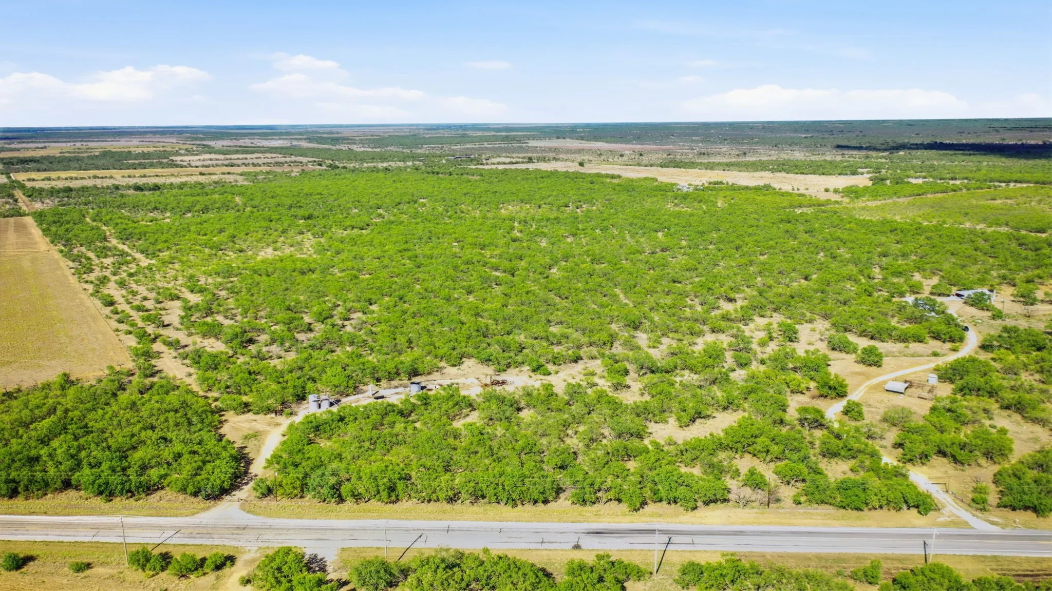 Farm For Sale in Throckmorton County , 3983 N 183 Highway, Woodson, Texas 76491, 1 Bedroom, 1 Bathroom, Garage spaces, 972 Sqft, built in 2016, mls#21408292, Real Estate Agent in Woodson, Homes For Sale in Throckmorton county, Homes For Sale in Woodson, Realtor in Woodson Texas, Real Estate Brokerage Independent Realty Texas, Luminita Cordes Realtor
