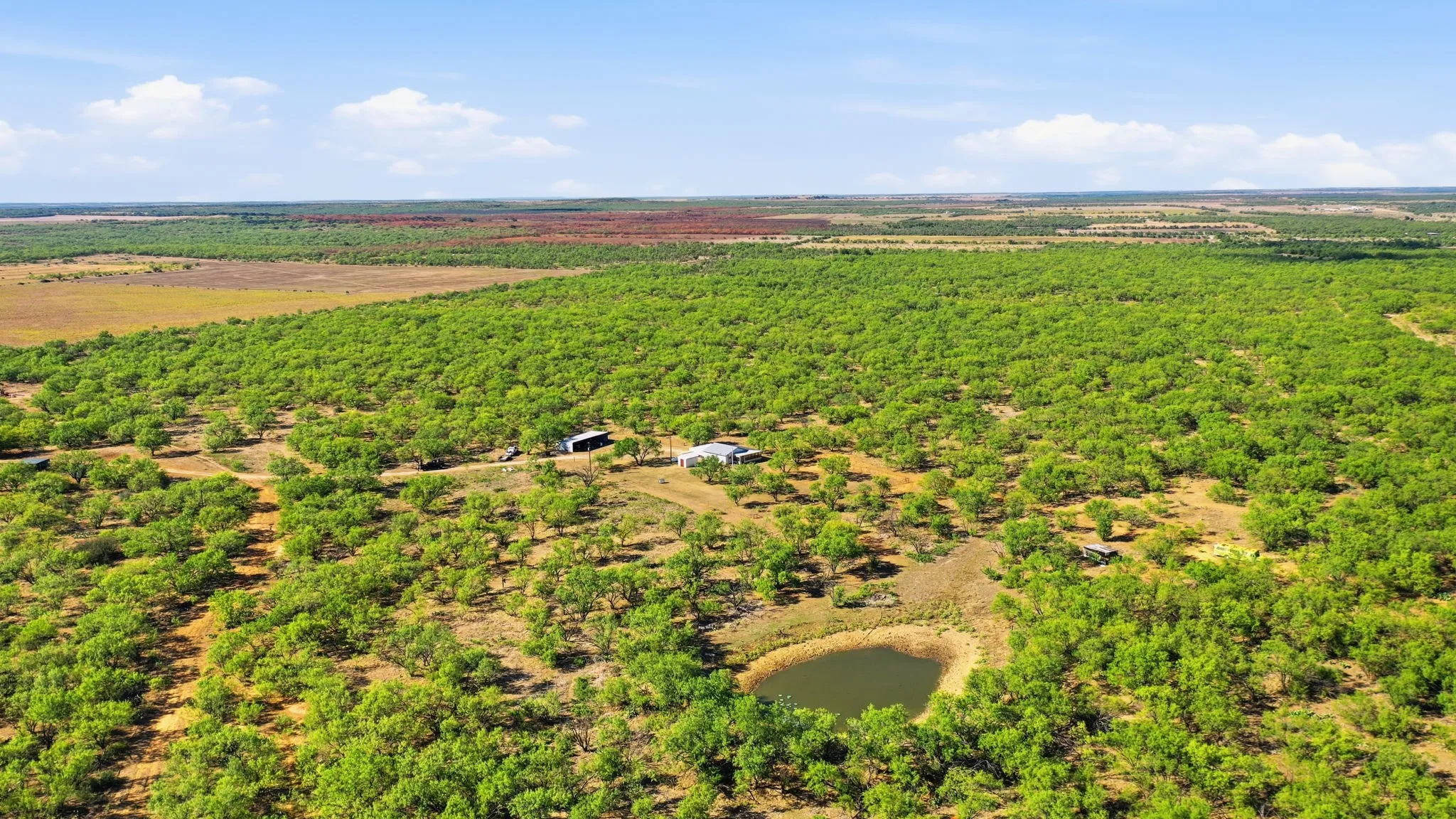 Farm For Sale in Throckmorton County , 3983 N 183 Highway, Woodson, Texas 76491, 1 Bedroom, 1 Bathroom, Garage spaces, 972 Sqft, built in 2016, mls#21408292, Real Estate Agent in Woodson, Homes For Sale in Throckmorton county, Homes For Sale in Woodson, Realtor in Woodson Texas, Real Estate Brokerage Independent Realty Texas, Luminita Cordes Realtor