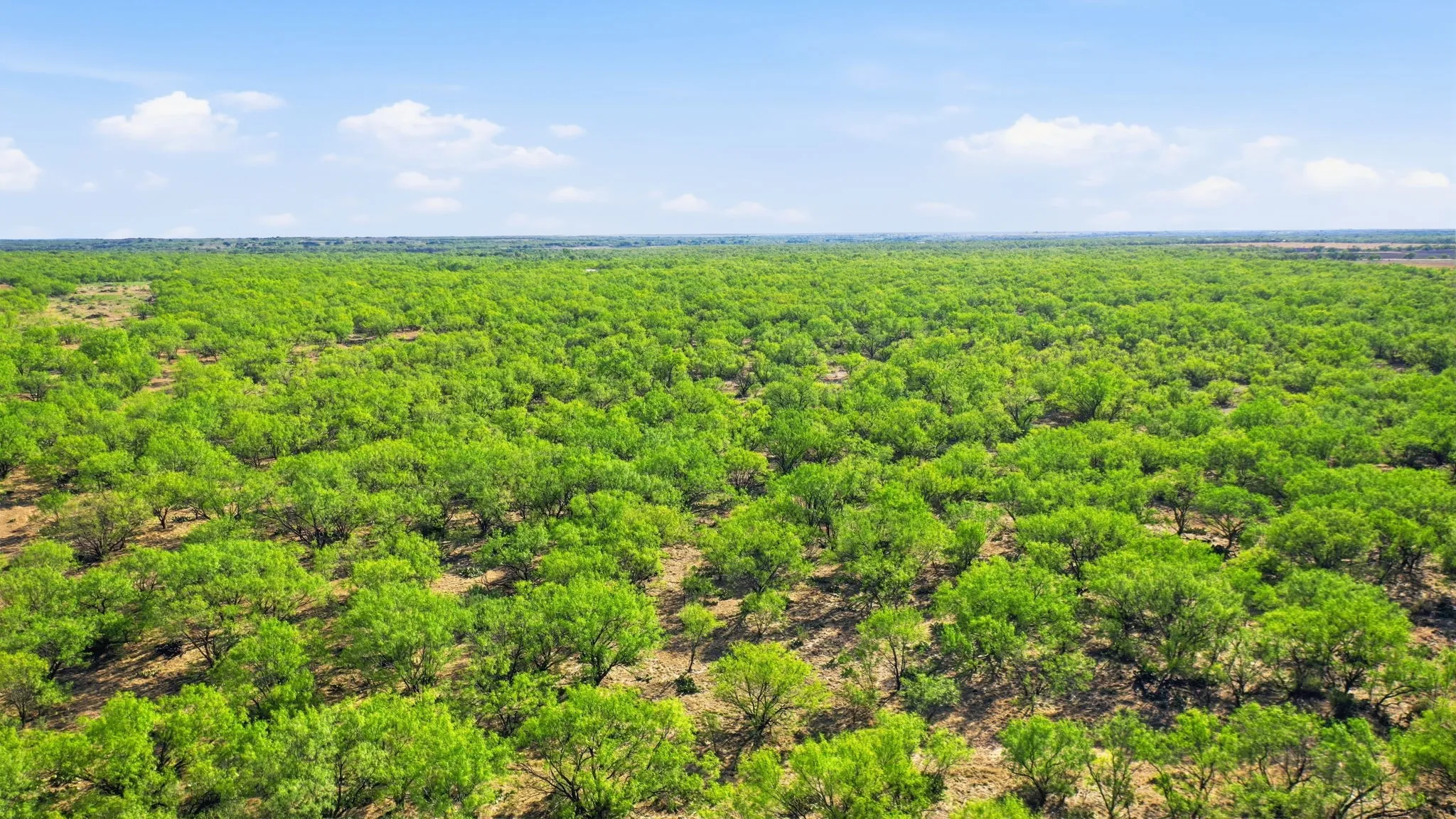 Farm For Sale in Throckmorton County , 3983 N 183 Highway, Woodson, Texas 76491, 1 Bedroom, 1 Bathroom, Garage spaces, 972 Sqft, built in 2016, mls#21408292, Real Estate Agent in Woodson, Homes For Sale in Throckmorton county, Homes For Sale in Woodson, Realtor in Woodson Texas, Real Estate Brokerage Independent Realty Texas, Luminita Cordes Realtor
