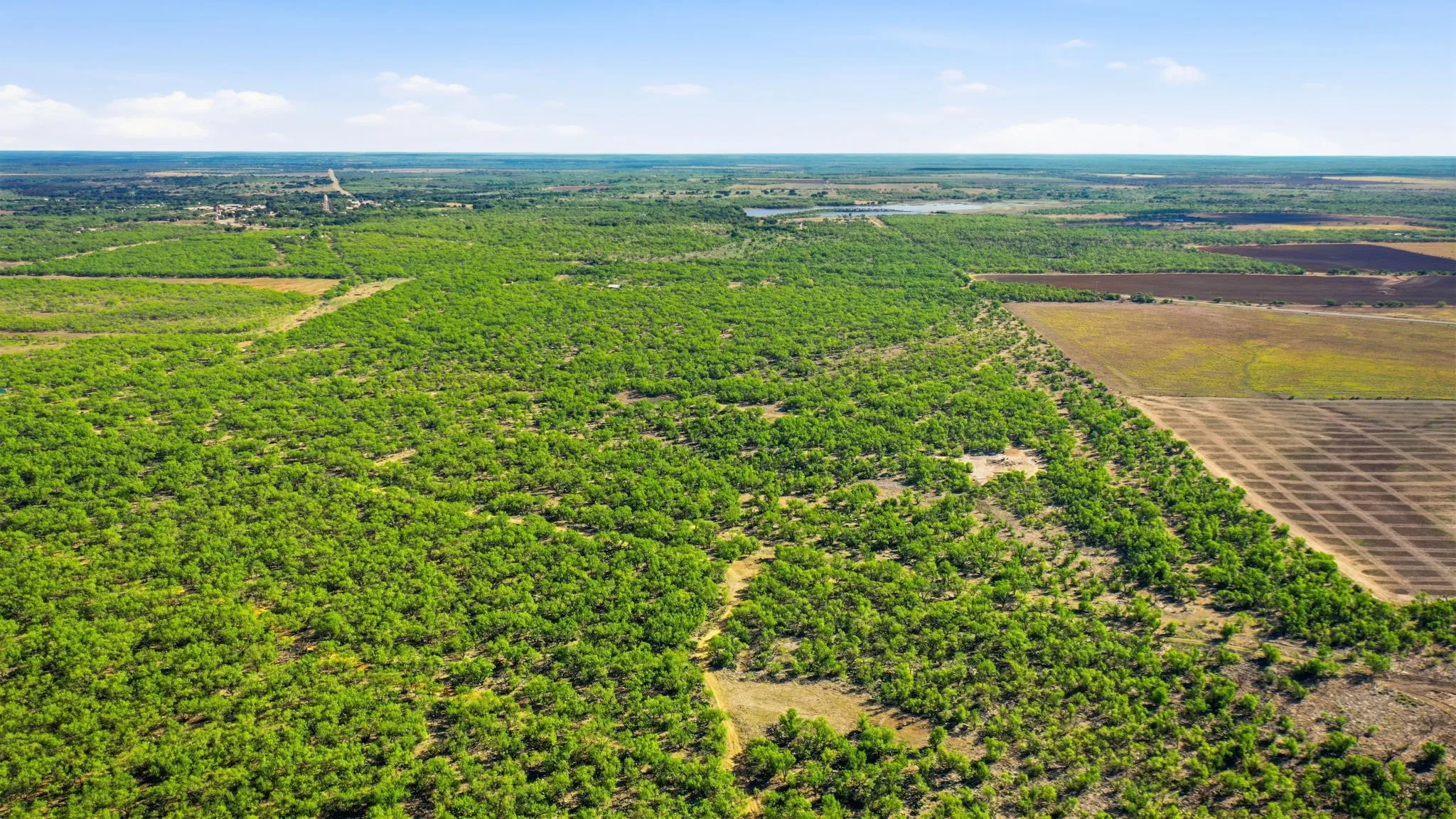 Farm For Sale in Throckmorton County , 3983 N 183 Highway, Woodson, Texas 76491, 1 Bedroom, 1 Bathroom, Garage spaces, 972 Sqft, built in 2016, mls#21408292, Real Estate Agent in Woodson, Homes For Sale in Throckmorton county, Homes For Sale in Woodson, Realtor in Woodson Texas, Real Estate Brokerage Independent Realty Texas, Luminita Cordes Realtor