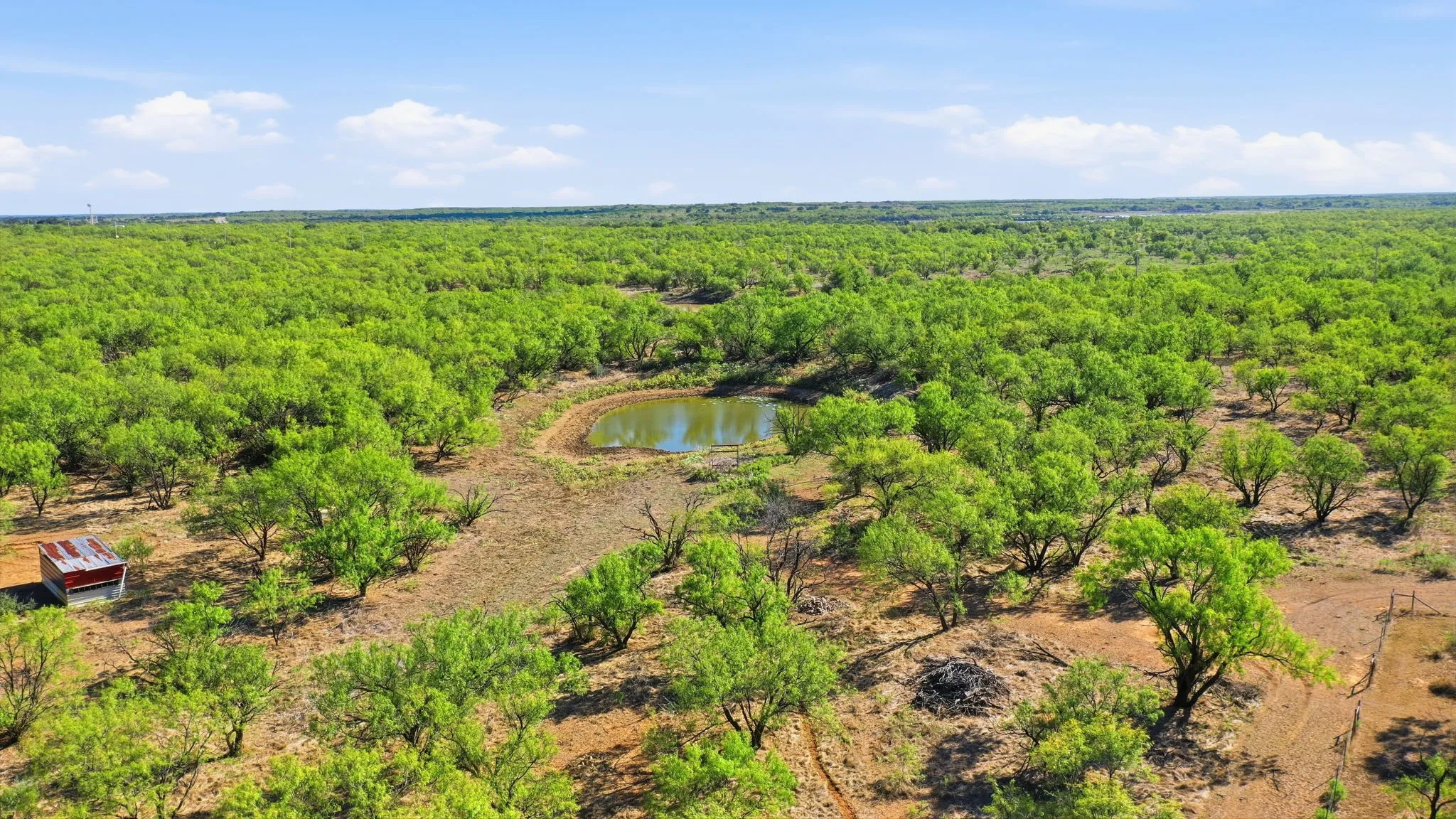 Farm For Sale in Throckmorton County , 3983 N 183 Highway, Woodson, Texas 76491, 1 Bedroom, 1 Bathroom, Garage spaces, 972 Sqft, built in 2016, mls#21408292, Real Estate Agent in Woodson, Homes For Sale in Throckmorton county, Homes For Sale in Woodson, Realtor in Woodson Texas, Real Estate Brokerage Independent Realty Texas, Luminita Cordes Realtor