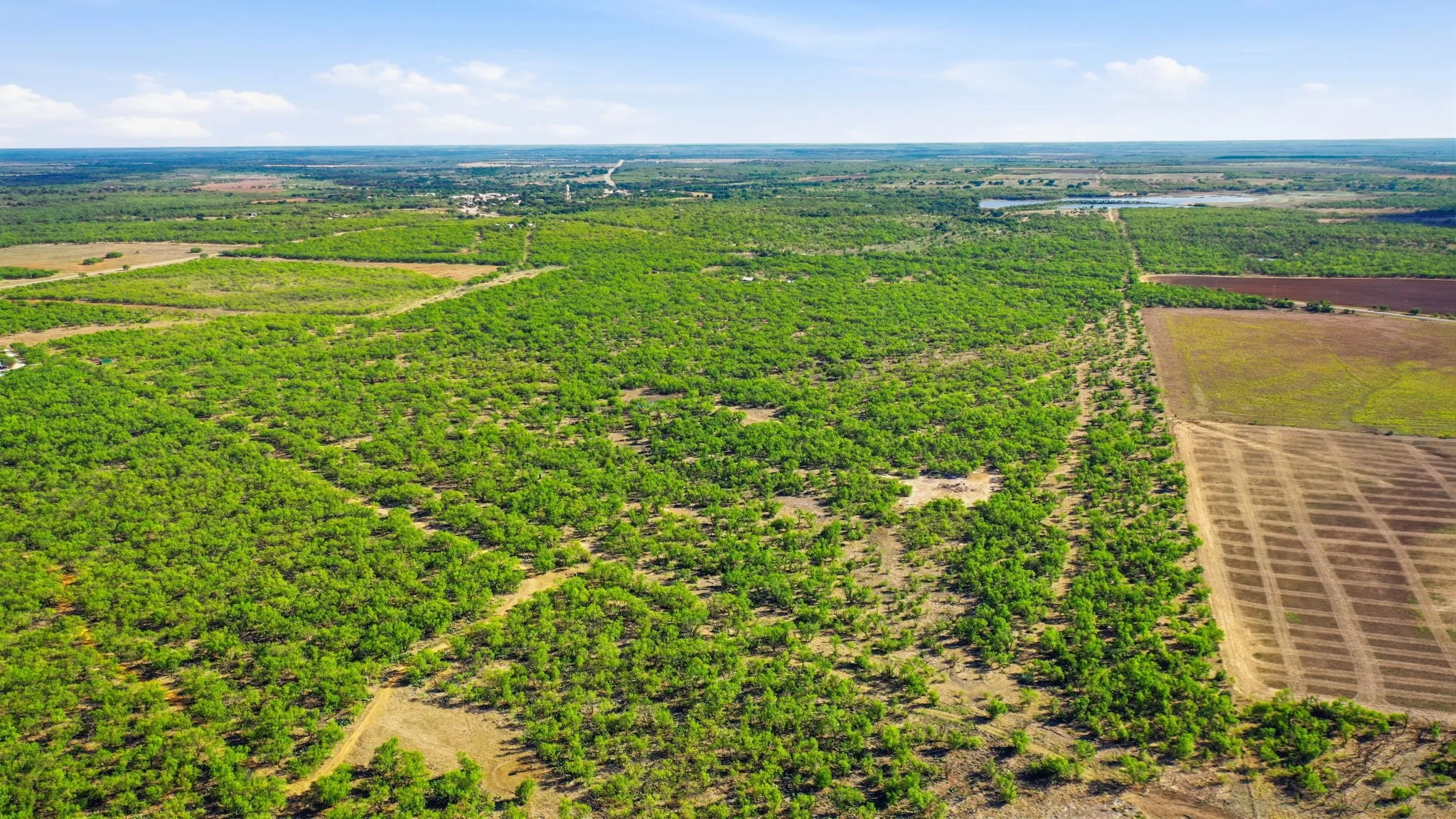 Farm For Sale in Throckmorton County , 3983 N 183 Highway, Woodson, Texas 76491, 1 Bedroom, 1 Bathroom, Garage spaces, 972 Sqft, built in 2016, mls#21408292, Real Estate Agent in Woodson, Homes For Sale in Throckmorton county, Homes For Sale in Woodson, Realtor in Woodson Texas, Real Estate Brokerage Independent Realty Texas, Luminita Cordes Realtor
