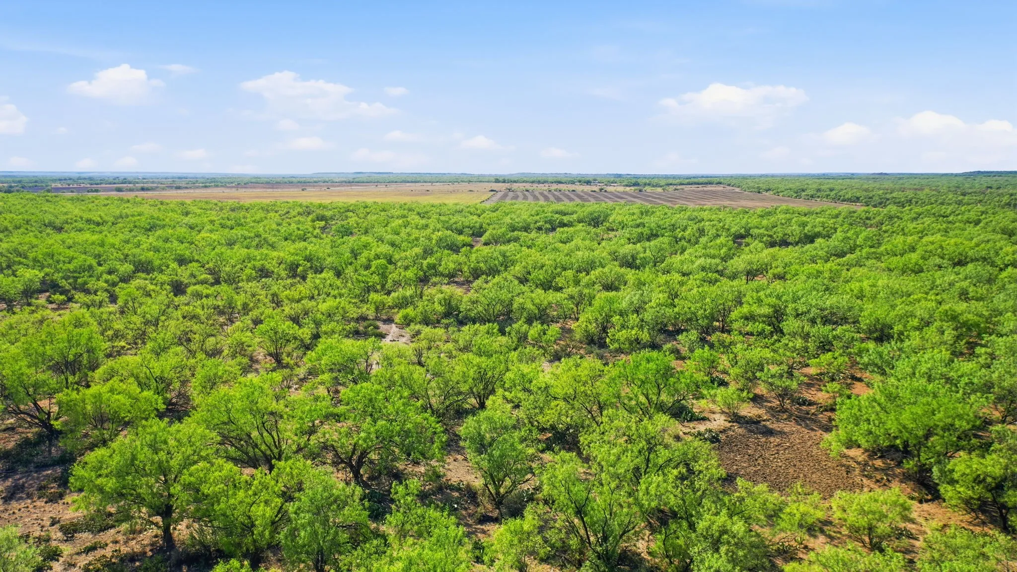 Farm For Sale in Throckmorton County , 3983 N 183 Highway, Woodson, Texas 76491, 1 Bedroom, 1 Bathroom, Garage spaces, 972 Sqft, built in 2016, mls#21408292, Real Estate Agent in Woodson, Homes For Sale in Throckmorton county, Homes For Sale in Woodson, Realtor in Woodson Texas, Real Estate Brokerage Independent Realty Texas, Luminita Cordes Realtor