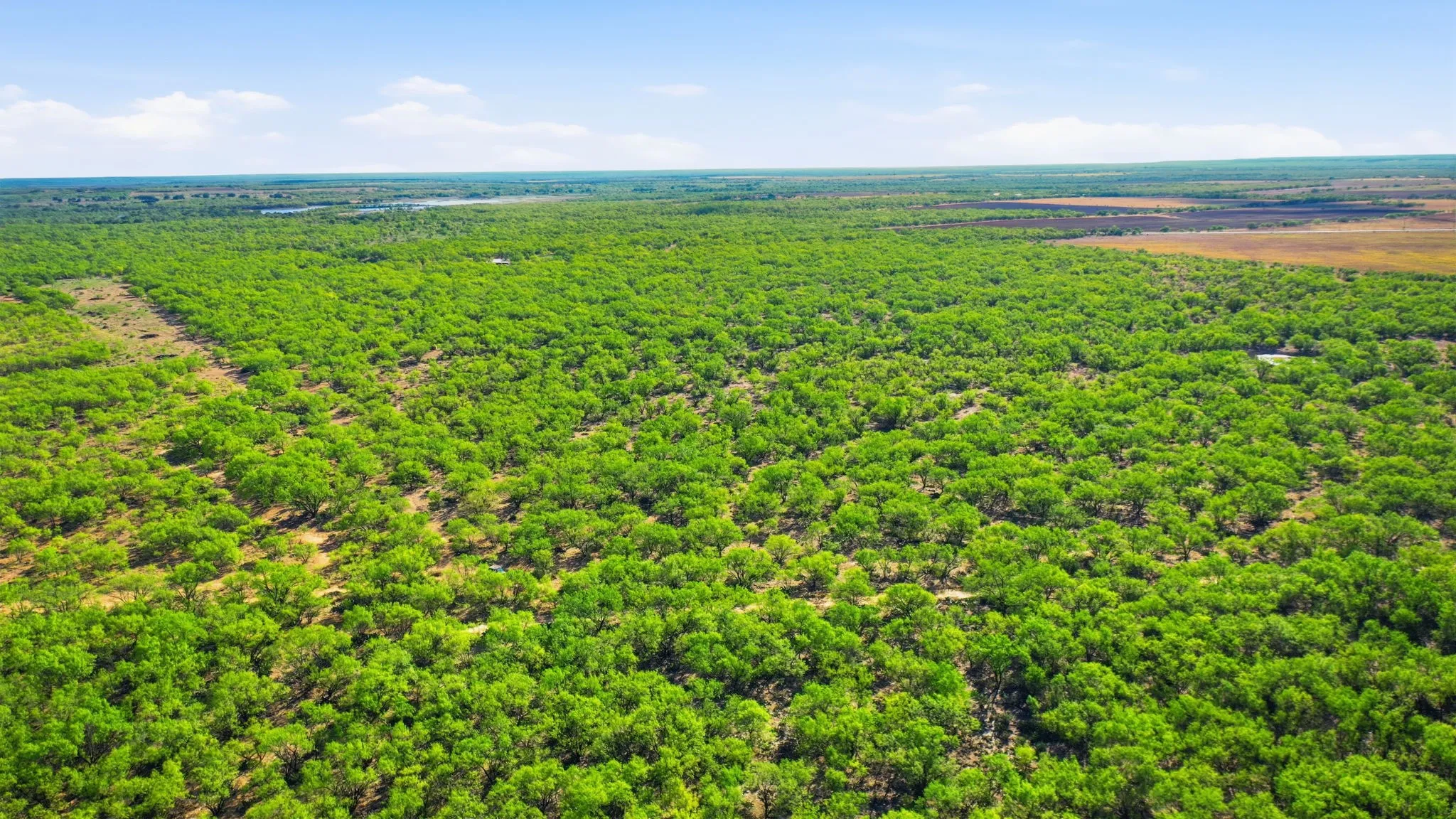 Farm For Sale in Throckmorton County , 3983 N 183 Highway, Woodson, Texas 76491, 1 Bedroom, 1 Bathroom, Garage spaces, 972 Sqft, built in 2016, mls#21408292, Real Estate Agent in Woodson, Homes For Sale in Throckmorton county, Homes For Sale in Woodson, Realtor in Woodson Texas, Real Estate Brokerage Independent Realty Texas, Luminita Cordes Realtor