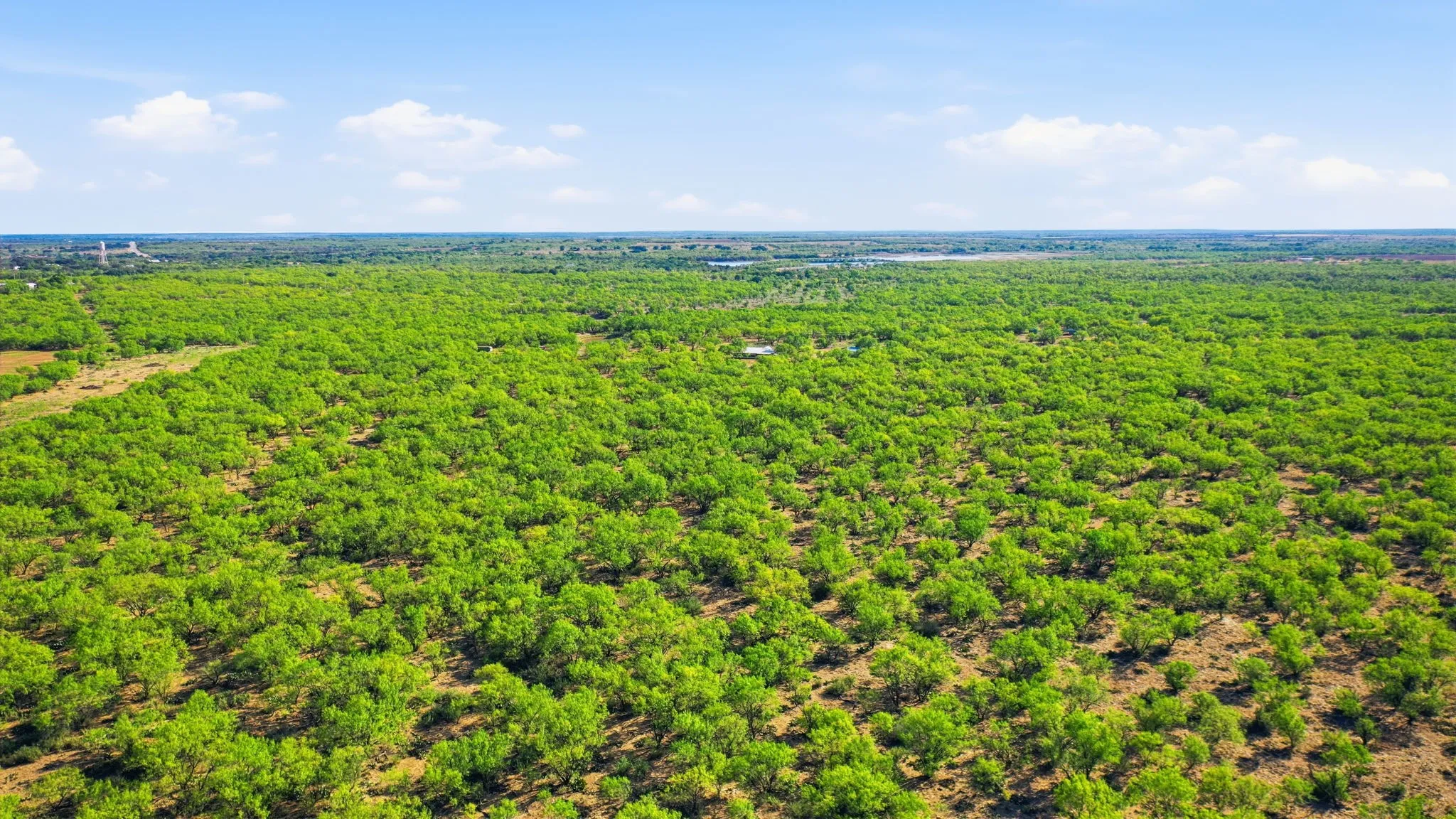 Farm For Sale in Throckmorton County , 3983 N 183 Highway, Woodson, Texas 76491, 1 Bedroom, 1 Bathroom, Garage spaces, 972 Sqft, built in 2016, mls#21408292, Real Estate Agent in Woodson, Homes For Sale in Throckmorton county, Homes For Sale in Woodson, Realtor in Woodson Texas, Real Estate Brokerage Independent Realty Texas, Luminita Cordes Realtor