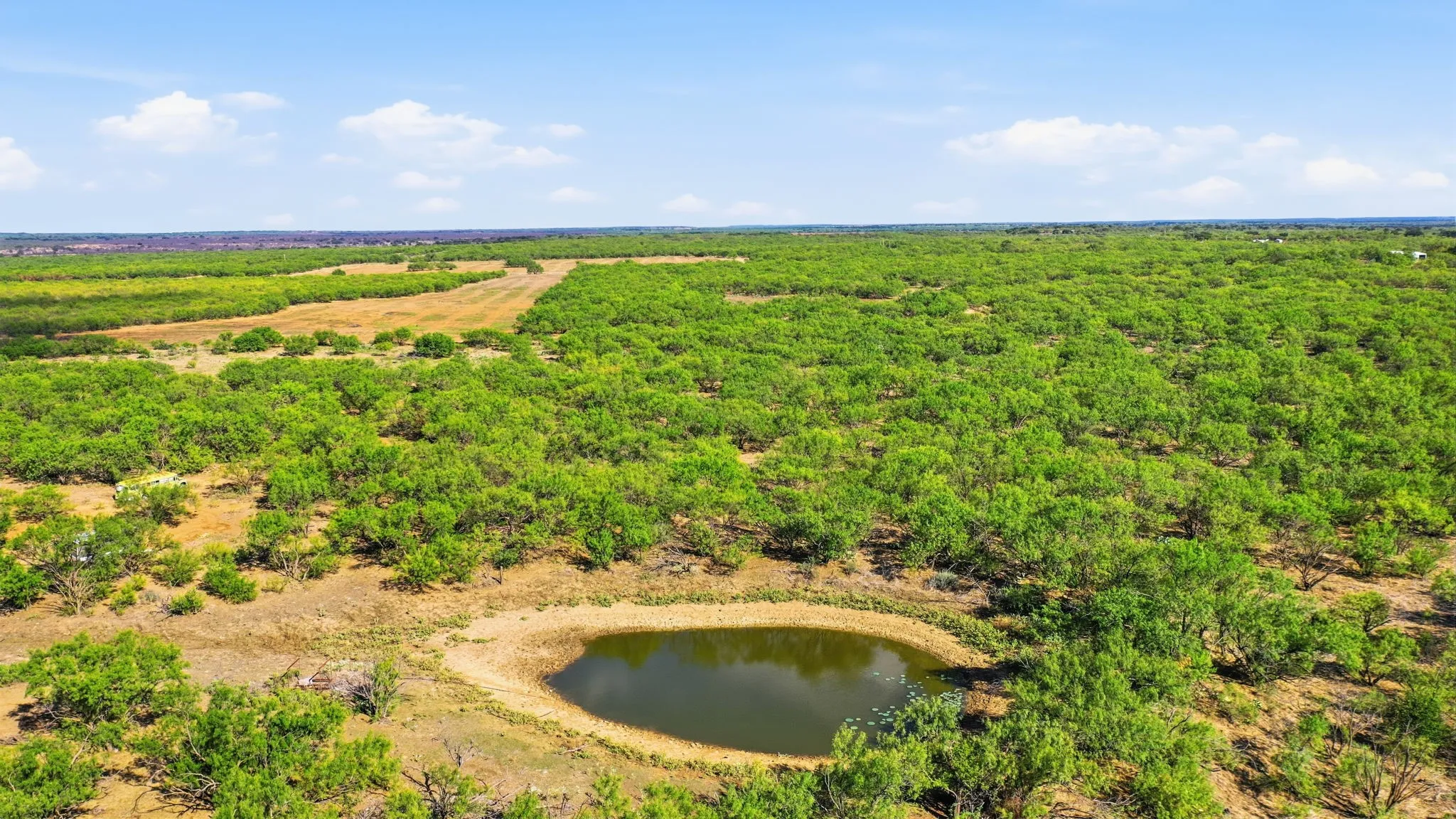 Farm For Sale in Throckmorton County , 3983 N 183 Highway, Woodson, Texas 76491, 1 Bedroom, 1 Bathroom, Garage spaces, 972 Sqft, built in 2016, mls#21408292, Real Estate Agent in Woodson, Homes For Sale in Throckmorton county, Homes For Sale in Woodson, Realtor in Woodson Texas, Real Estate Brokerage Independent Realty Texas, Luminita Cordes Realtor