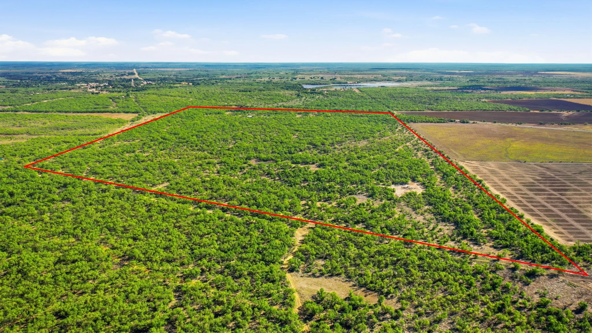 Farm For Sale in Throckmorton County , 3983 N 183 Highway, Woodson, Texas 76491, 1 Bedroom, 1 Bathroom, Garage spaces, 972 Sqft, built in 2016, mls#21408292, Real Estate Agent in Woodson, Homes For Sale in Throckmorton county, Homes For Sale in Woodson, Realtor in Woodson Texas, Real Estate Brokerage Independent Realty Texas, Luminita Cordes Realtor