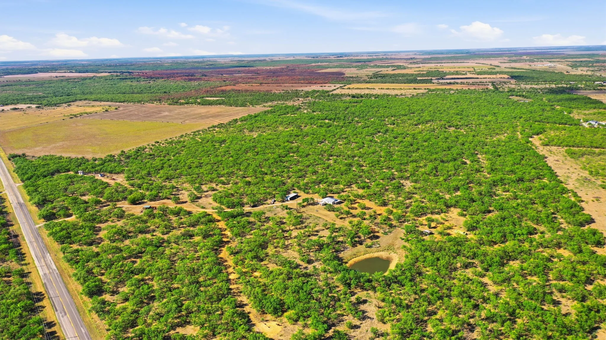 Farm For Sale in Throckmorton County , 3983 N 183 Highway, Woodson, Texas 76491, 1 Bedroom, 1 Bathroom, Garage spaces, 972 Sqft, built in 2016, mls#21408292, Real Estate Agent in Woodson, Homes For Sale in Throckmorton county, Homes For Sale in Woodson, Realtor in Woodson Texas, Real Estate Brokerage Independent Realty Texas, Luminita Cordes Realtor