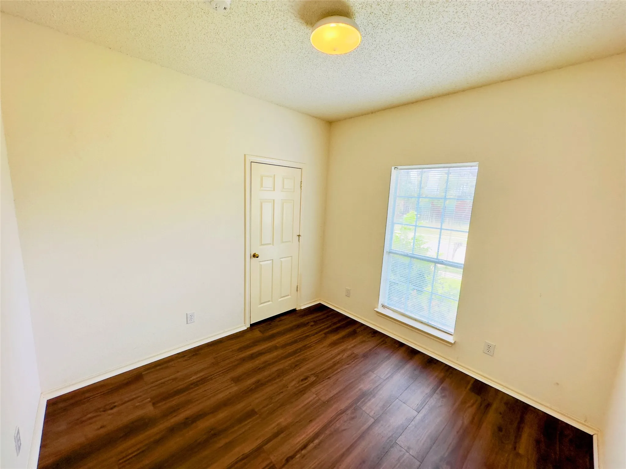 Wood-finish flooring, single window, paneled door, flush-mount ceiling light