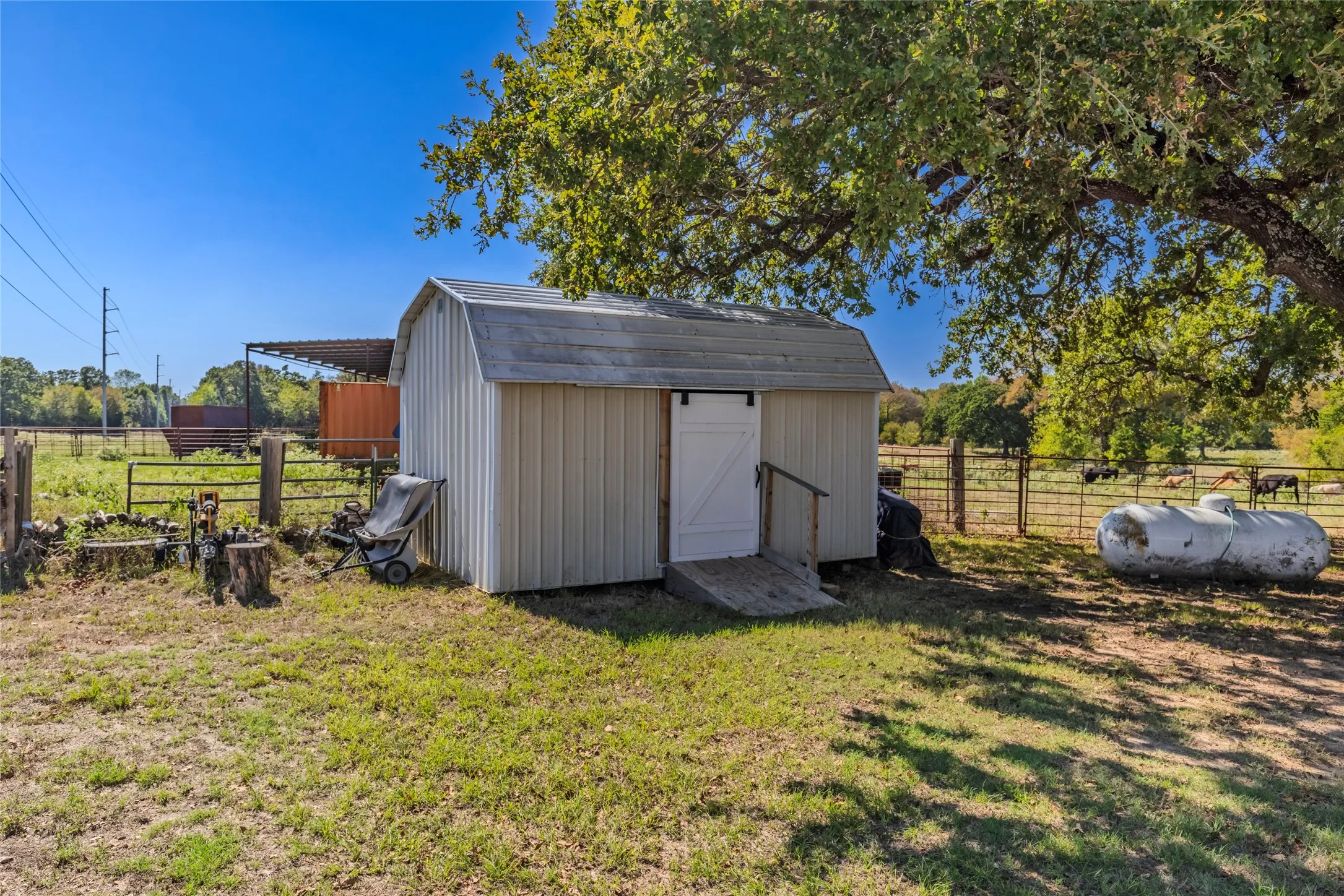 Storage shed conveys