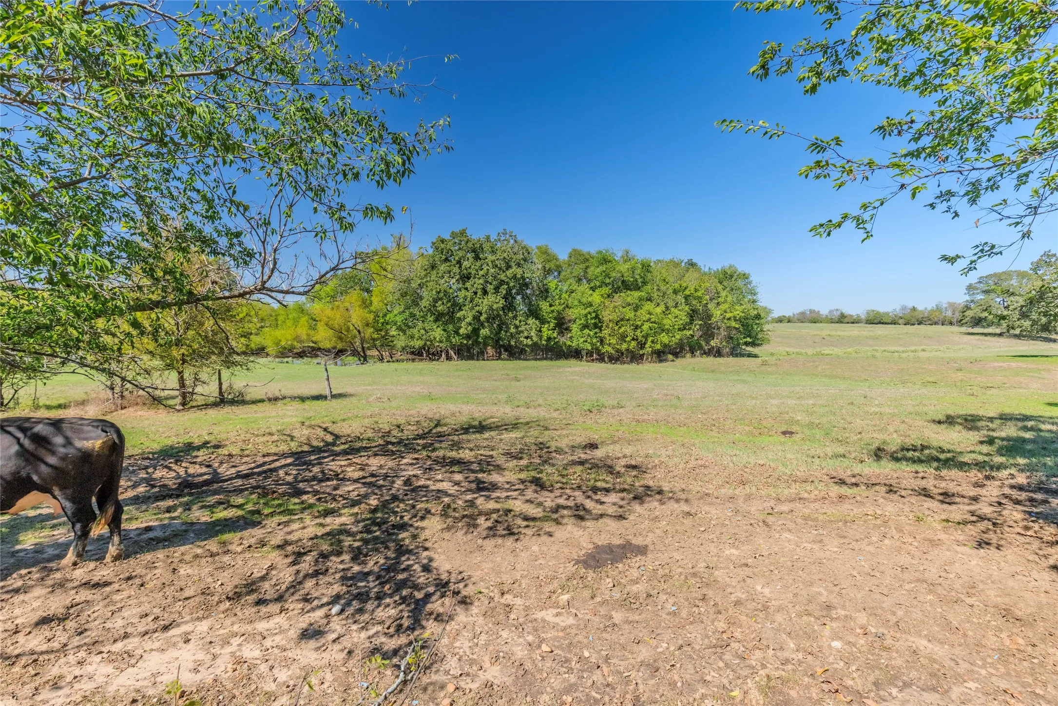 Single Family Residence For Sale in Hunt County , 1586 County Road 4133, Cumby, Texas 75433, 2 Bedroom, 2 Bathroom, 2 Garage spaces, 1,823 Sqft, built in 1997, mls#21407905, Real Estate Agent in Cumby, Homes For Sale in Hunt county, Homes For Sale in Cumby, Realtor in Cumby Texas, Real Estate Brokerage Independent Realty Texas, Luminita Cordes Realtor