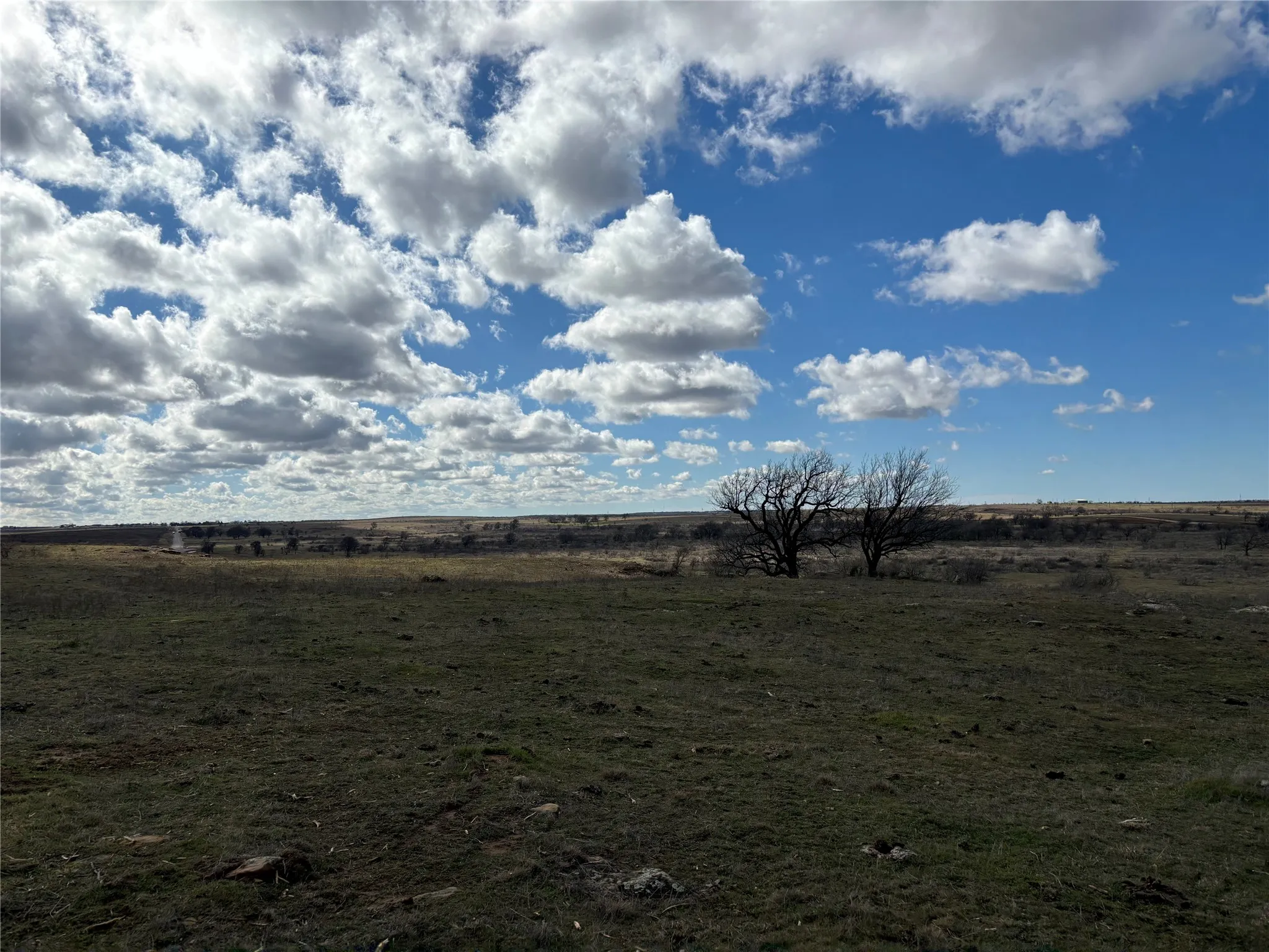 Expansive open land with a clear blue sky, featuring a scattering of clouds and two prominent mature trees