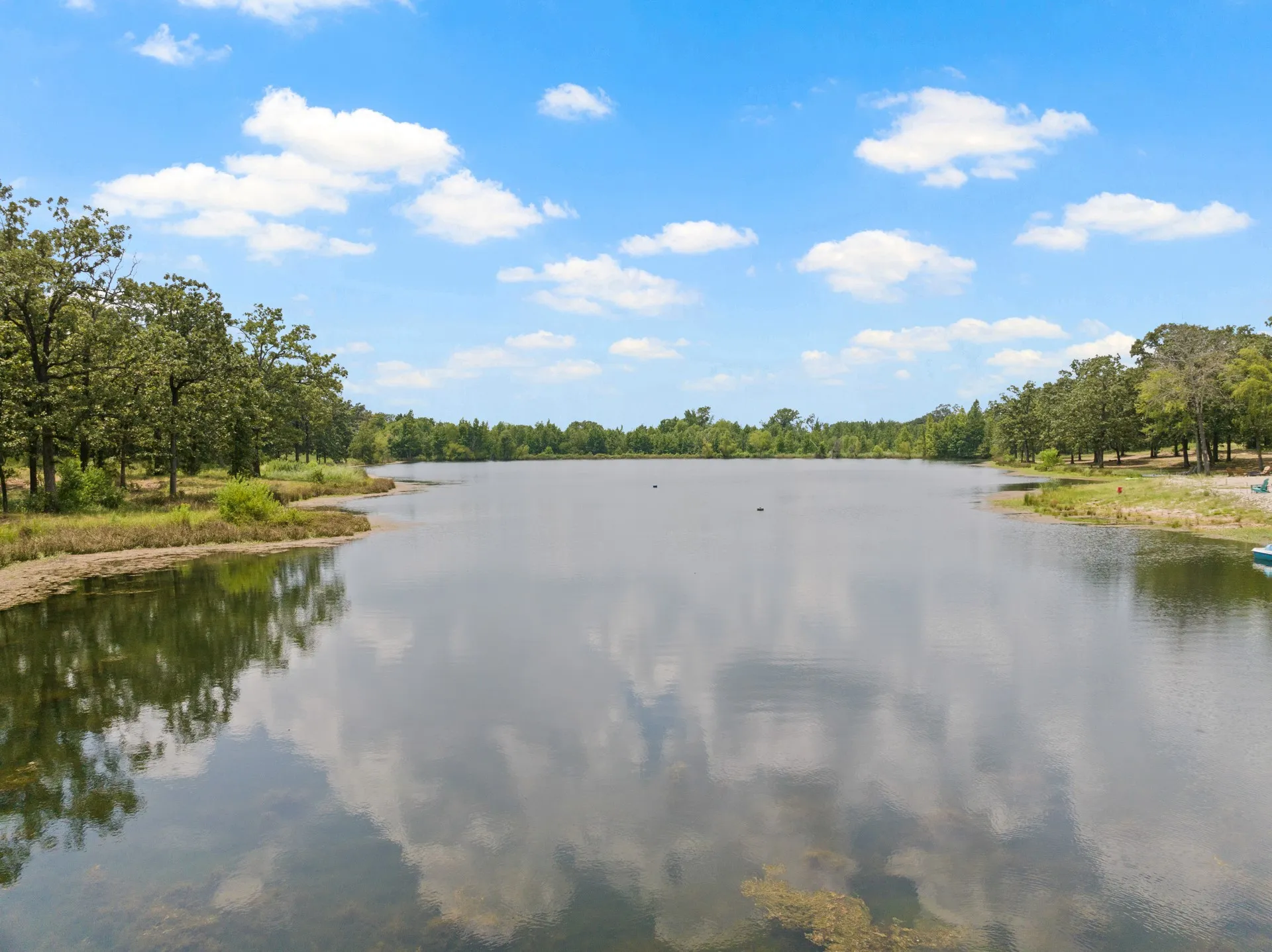 Water view with a forest