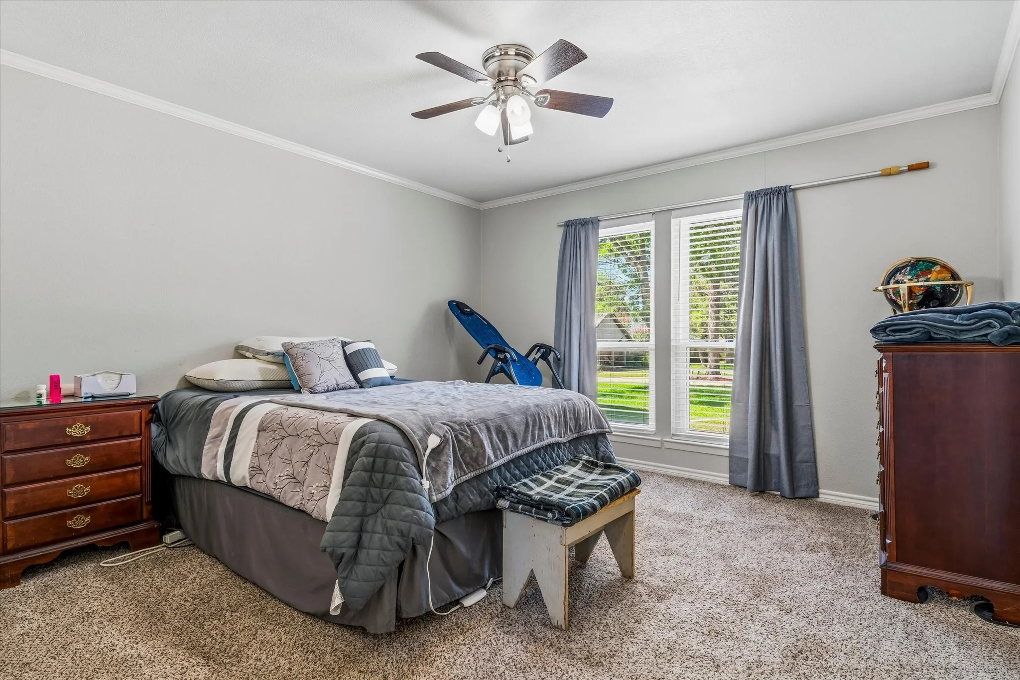 Carpeted flooring with crown molding and a ceiling fan