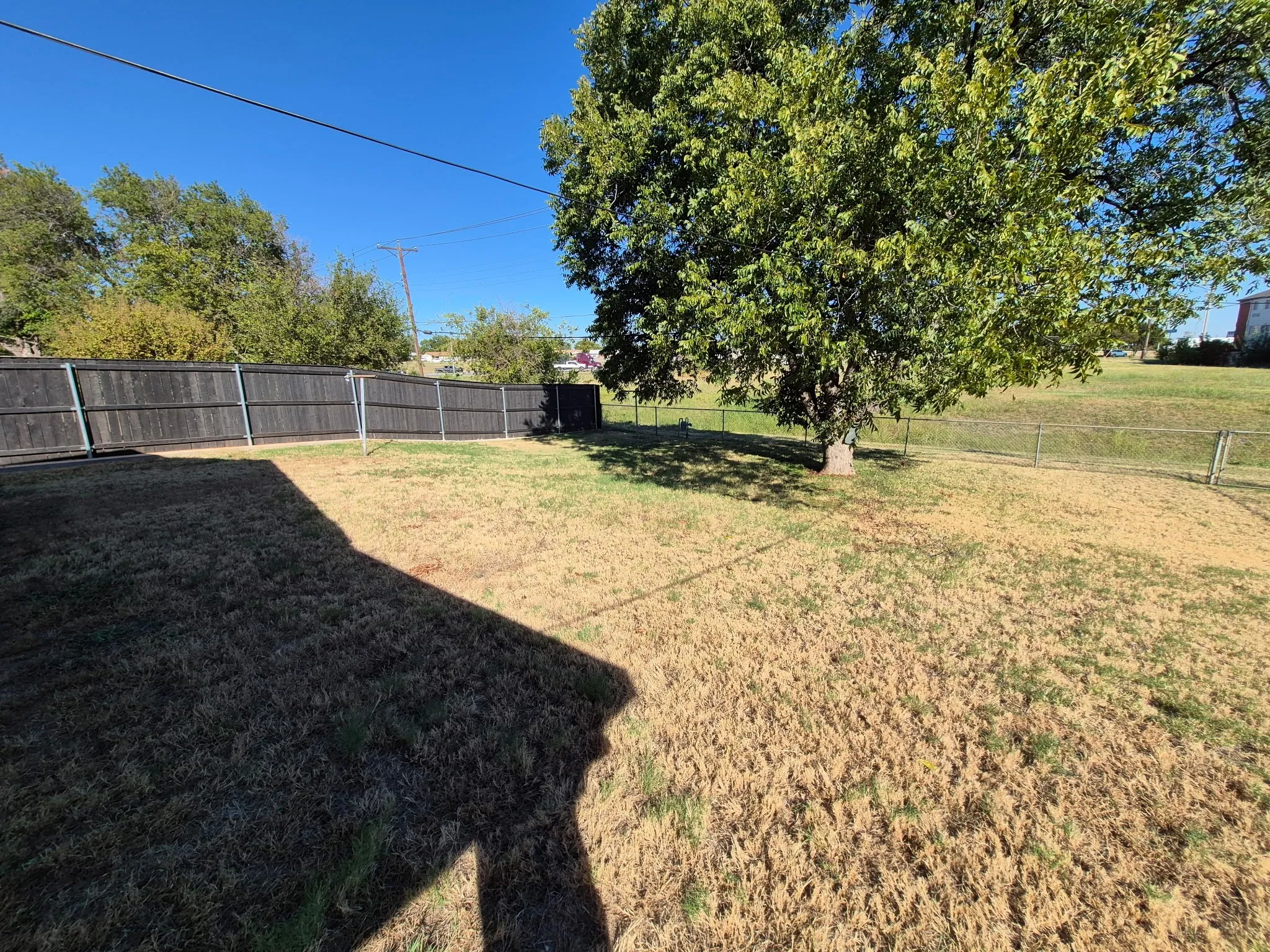 fenced backyard