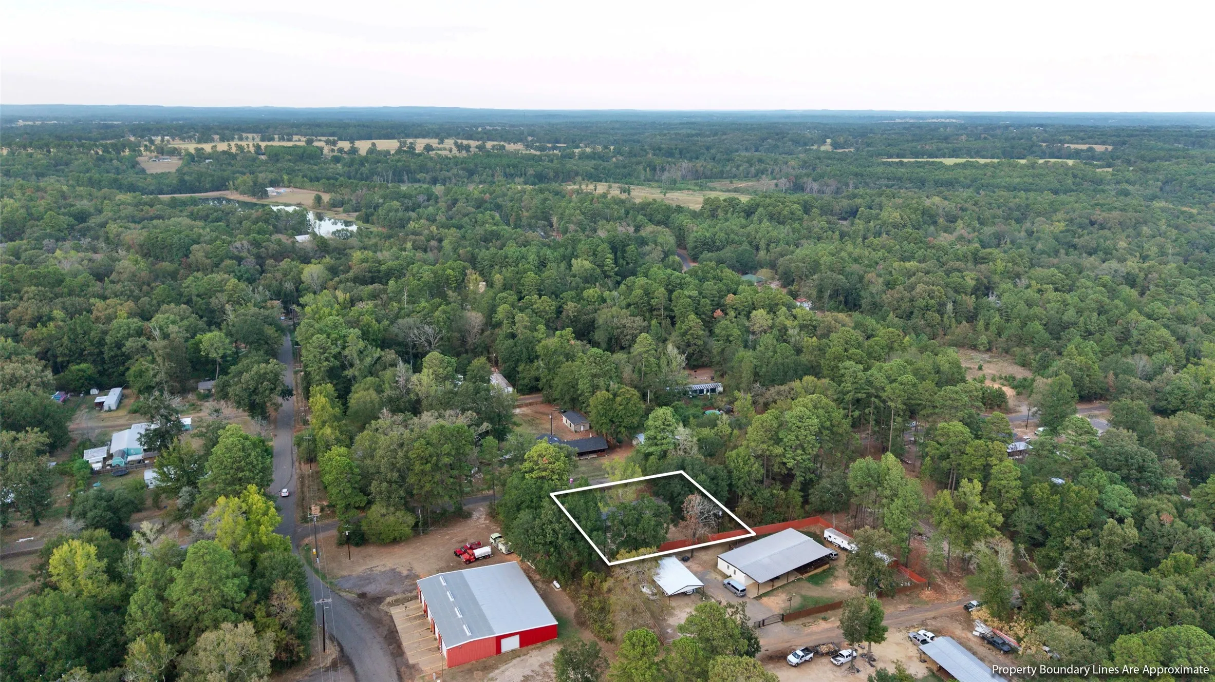 Expansive wooded acreage with a distinct property boundary