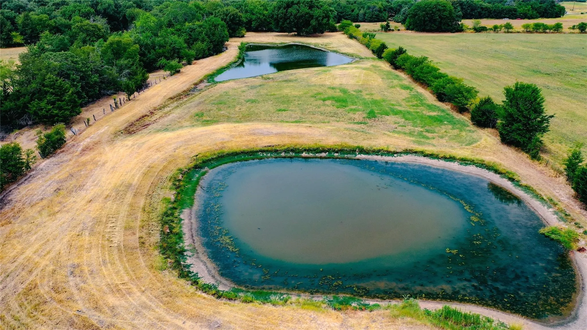 Farm For Sale in Fannin County , 6520 Fm 274, Ravenna, Texas 75476, 4 Bedroom, 2 Bathroom, 4 Garage spaces, 2,480 Sqft, built in 1972, mls#21405818, Real Estate Agent in Ravenna, Homes For Sale in Fannin county, Homes For Sale in Ravenna, Realtor in Ravenna Texas, Real Estate Brokerage Independent Realty Texas, Luminita Cordes Realtor