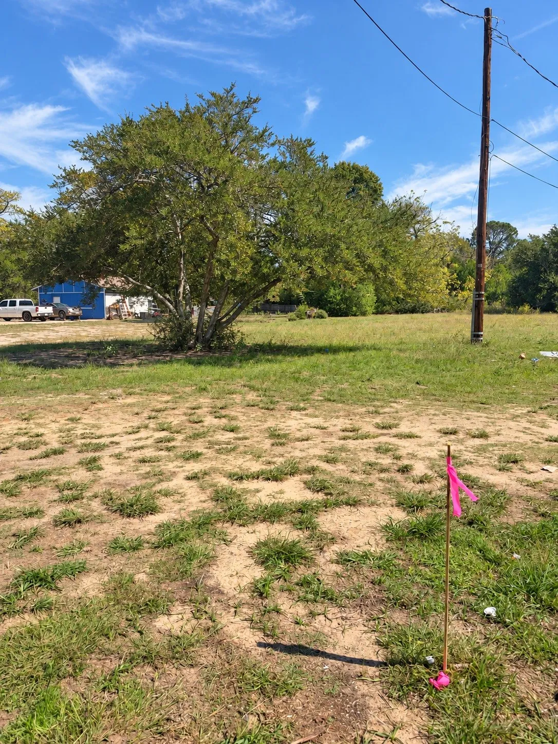 Expansive lot featuring mature trees and open land