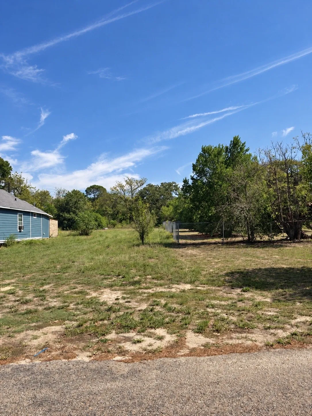 Expansive undeveloped lot featuring mature trees and a clear blue sky