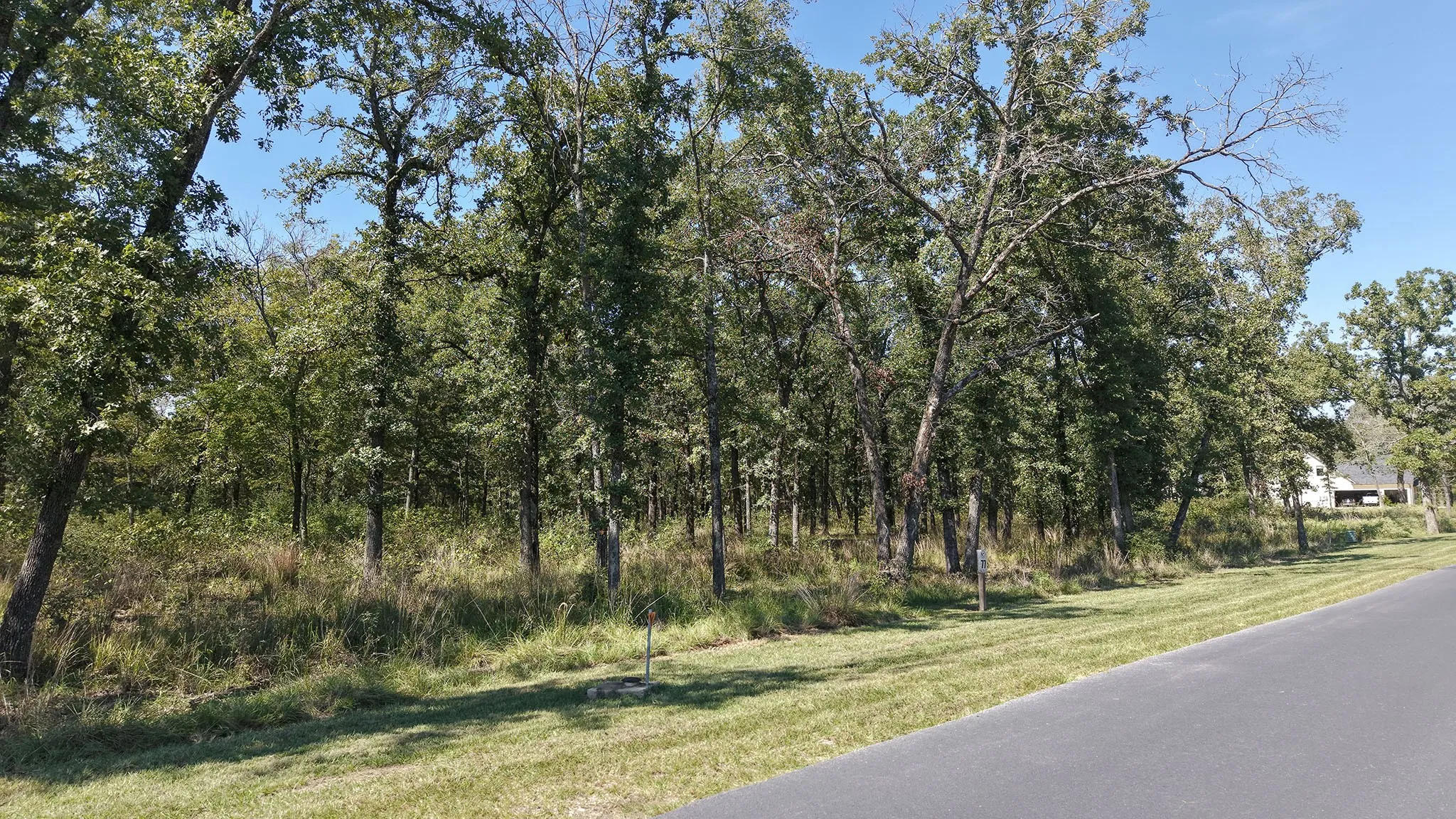 Unimproved Land For Sale in Henderson County , 6923 Lakeshore Way, Malakoff, Texas 75148, 0, 0, Garage spaces, 0 Sqft, built in 0, mls#21408455, Real Estate Agent in Malakoff, Homes For Sale in Henderson county, Homes For Sale in Malakoff, Realtor in Malakoff Texas, Real Estate Brokerage Independent Realty Texas, Luminita Cordes Realtor