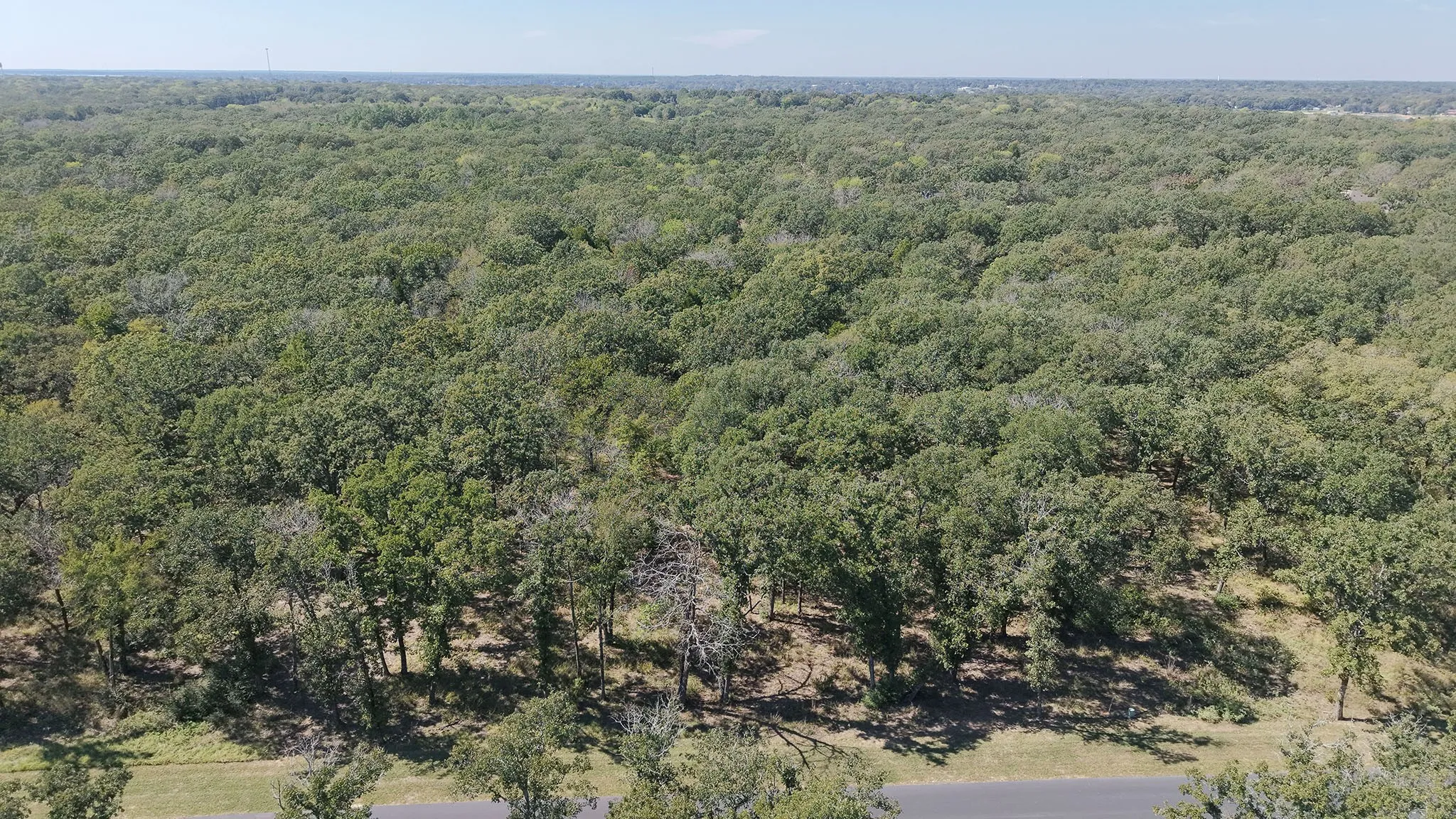 Unimproved Land For Sale in Henderson County , 6923 Lakeshore Way, Malakoff, Texas 75148, 0, 0, Garage spaces, 0 Sqft, built in 0, mls#21408455, Real Estate Agent in Malakoff, Homes For Sale in Henderson county, Homes For Sale in Malakoff, Realtor in Malakoff Texas, Real Estate Brokerage Independent Realty Texas, Luminita Cordes Realtor