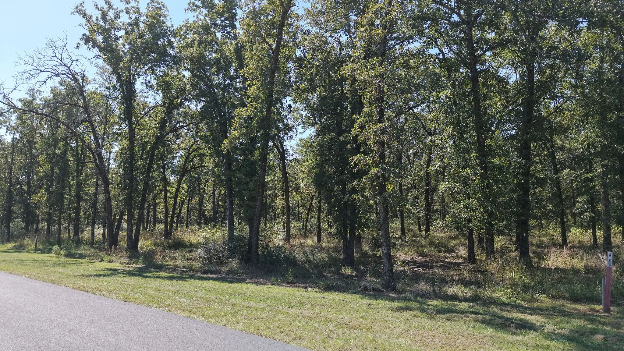 Unimproved Land For Sale in Henderson County , 6923 Lakeshore Way, Malakoff, Texas 75148, 0, 0, Garage spaces, 0 Sqft, built in 0, mls#21408455, Real Estate Agent in Malakoff, Homes For Sale in Henderson county, Homes For Sale in Malakoff, Realtor in Malakoff Texas, Real Estate Brokerage Independent Realty Texas, Luminita Cordes Realtor