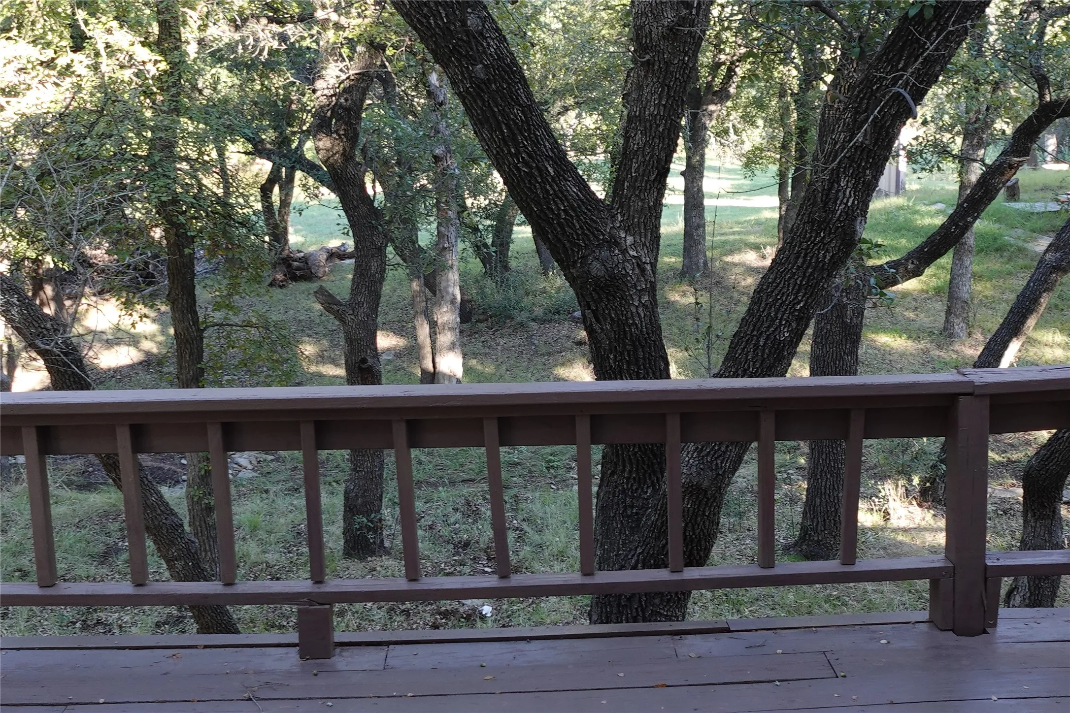 Expansive outdoor decking with a wood balustrade, surrounded by mature trees and natural landscaping