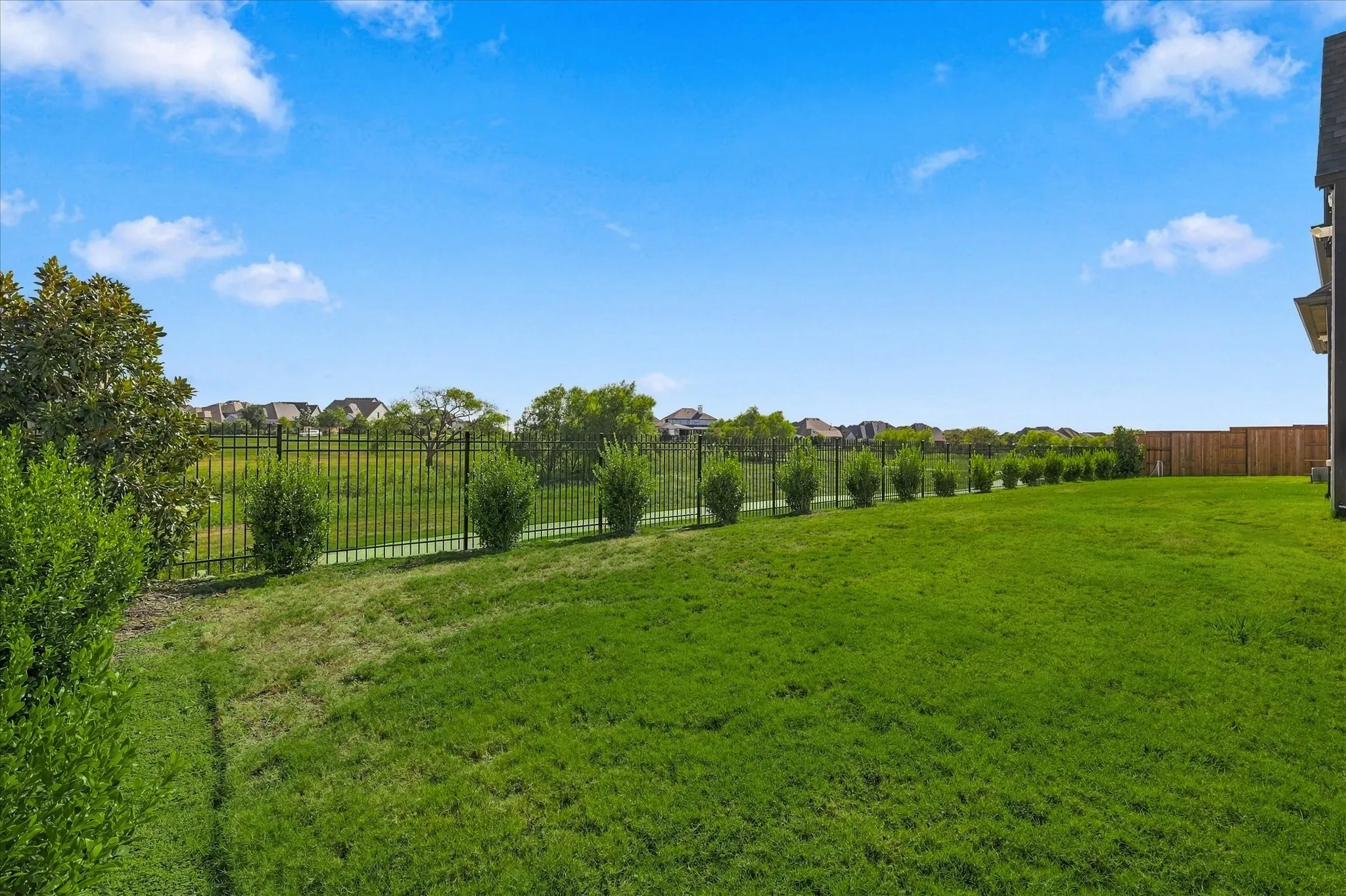 Expansive backyard featuring a manicured lawn, established landscaping, and a dark metal fence