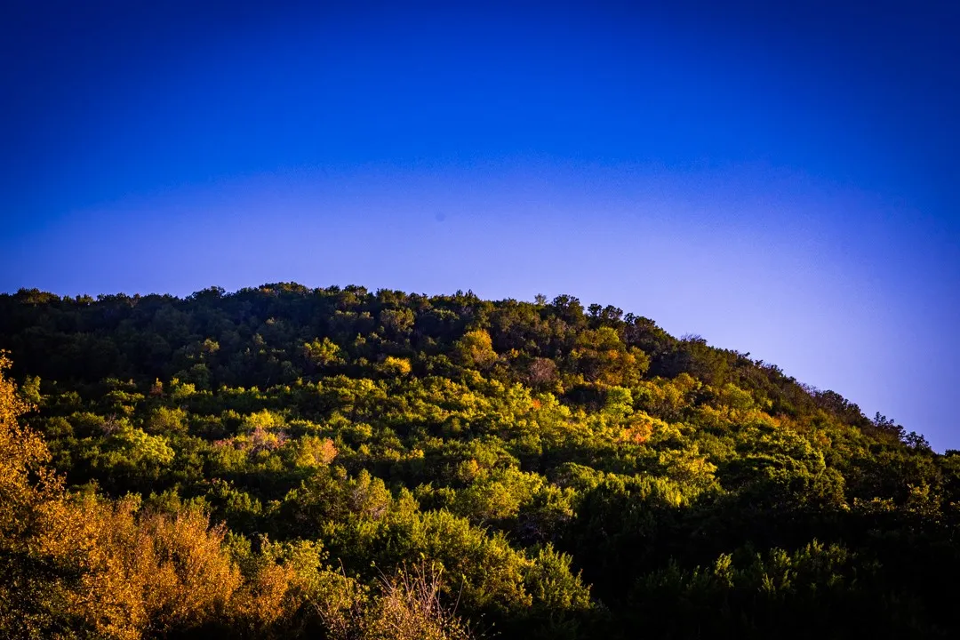 Improved Land For Sale in Palo Pinto County , 2023 Jesse's Run Rd, Graford, Texas 76449, 0, 0, Garage spaces, 0 Sqft, built in 0, mls#21408671, Real Estate Agent in Graford, Homes For Sale in Palo Pinto county, Homes For Sale in Graford, Realtor in Graford Texas, Real Estate Brokerage Independent Realty Texas, Luminita Cordes Realtor
