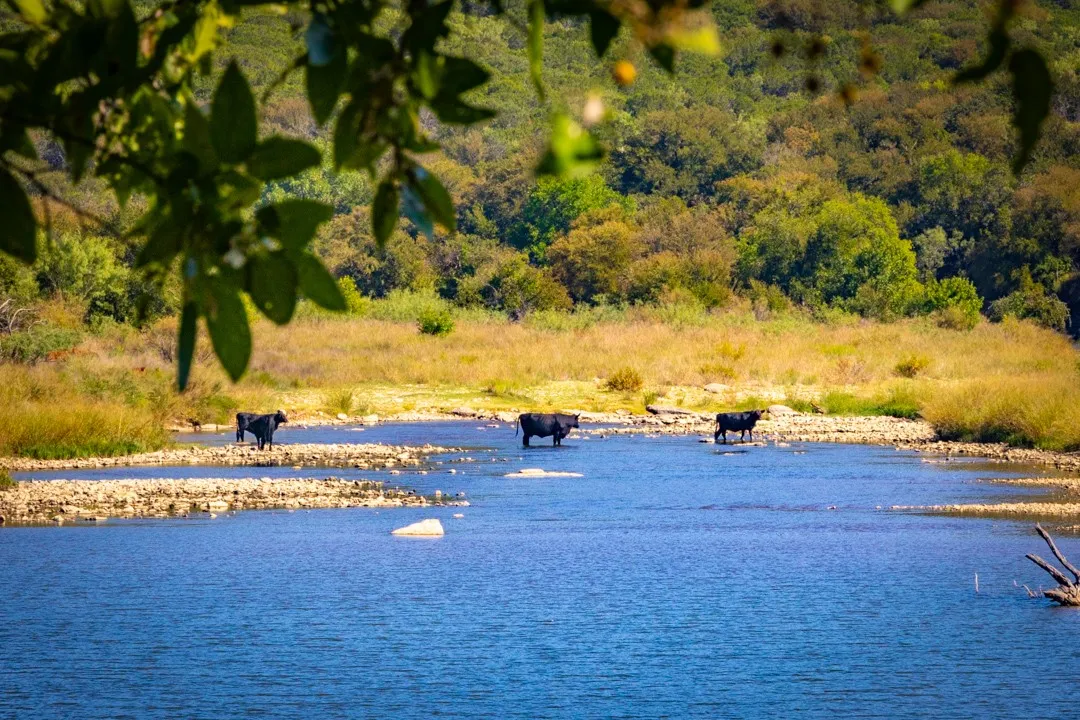 Improved Land For Sale in Palo Pinto County , 2023 Jesse's Run Rd, Graford, Texas 76449, 0, 0, Garage spaces, 0 Sqft, built in 0, mls#21408671, Real Estate Agent in Graford, Homes For Sale in Palo Pinto county, Homes For Sale in Graford, Realtor in Graford Texas, Real Estate Brokerage Independent Realty Texas, Luminita Cordes Realtor