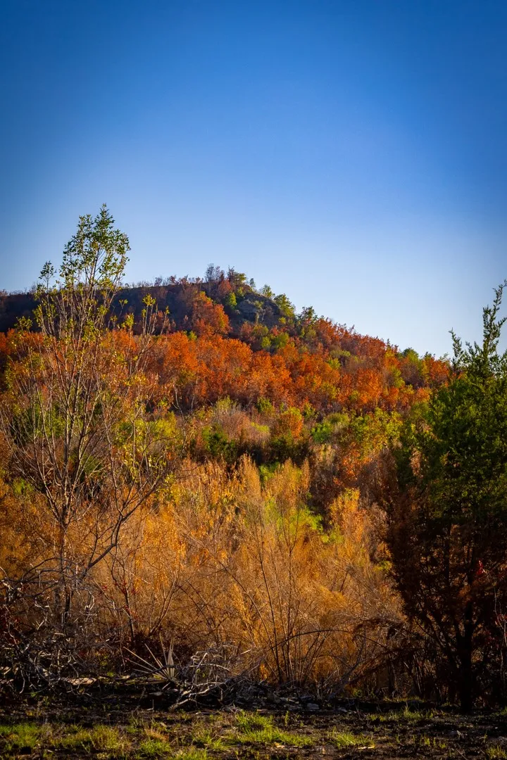 Unimproved Land For Sale in Palo Pinto County , 2025 Jesses Run Road, Graford, Texas 76449, 0, 0, Garage spaces, 0 Sqft, built in 0, mls#21408666, Real Estate Agent in Graford, Homes For Sale in Palo Pinto county, Homes For Sale in Graford, Realtor in Graford Texas, Real Estate Brokerage Independent Realty Texas, Luminita Cordes Realtor