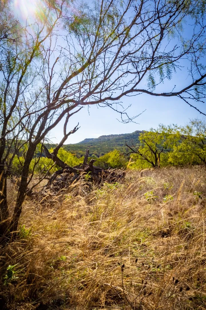 Single Family Residence For Sale in Palo Pinto County , 2024 Jesses Run Road, Graford, Texas 76449, 2 Bedroom, 1 Bathroom, 2 Garage spaces, 1,616 Sqft, built in 2020, mls#21408659, Real Estate Agent in Graford, Homes For Sale in Palo Pinto county, Homes For Sale in Graford, Realtor in Graford Texas, Real Estate Brokerage Independent Realty Texas, Luminita Cordes Realtor