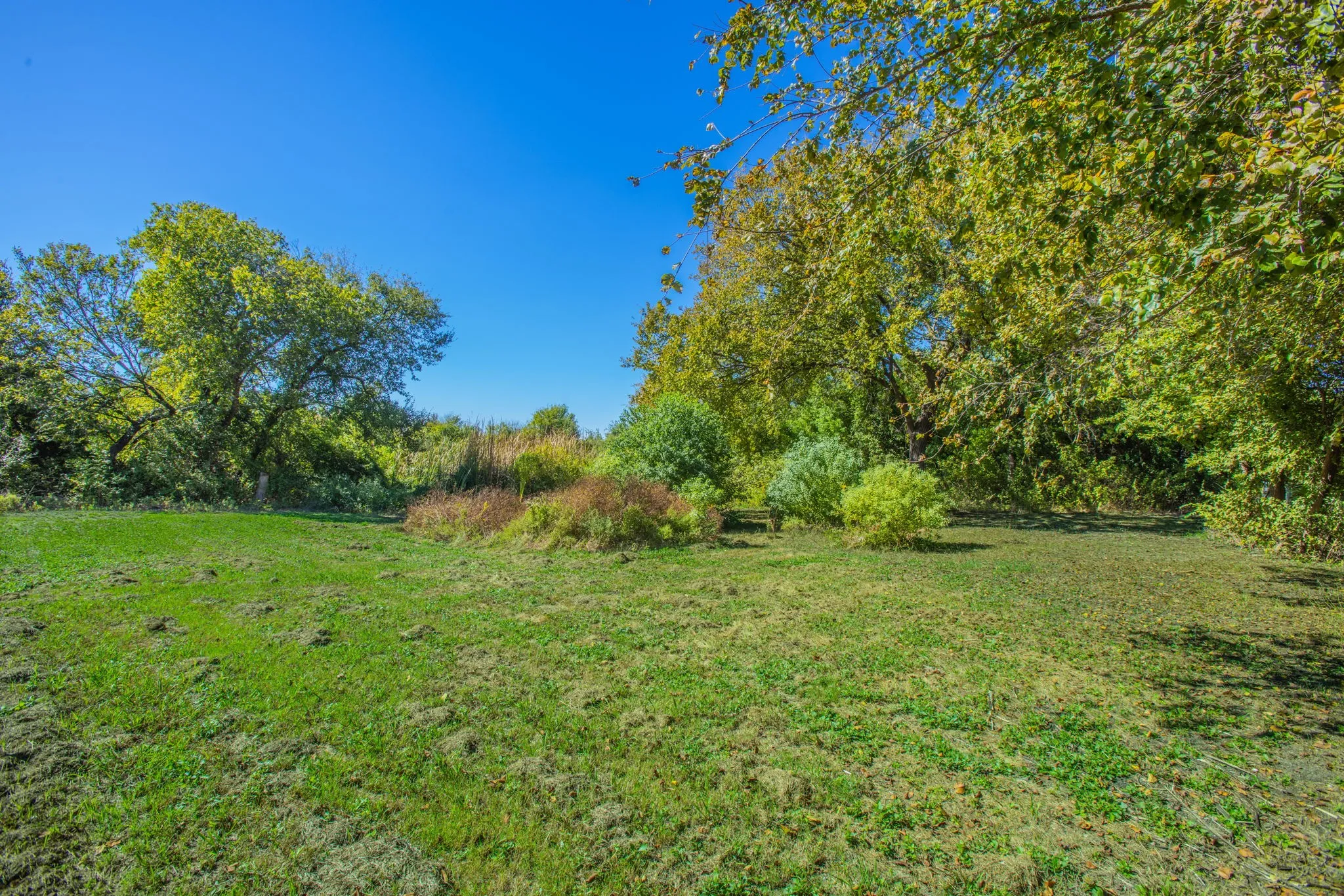 Expansive green space with mature trees and varied foliage