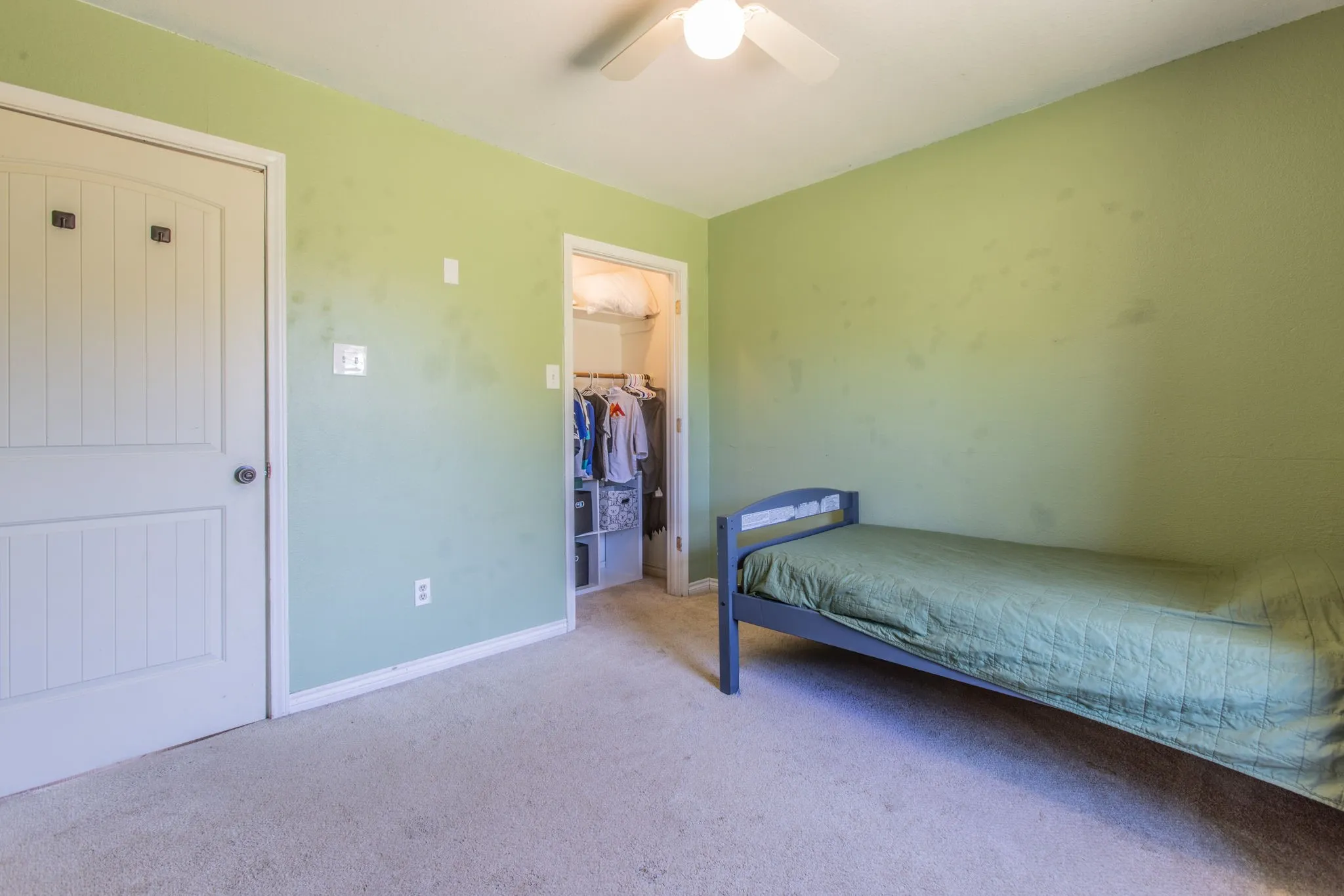 Carpeted flooring, ceiling fan, and a walk-in closet with shelving