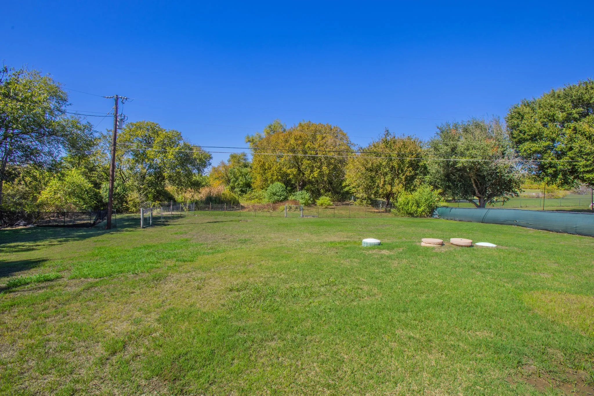 Expansive grassy area featuring mature perimeter trees and a clear blue sky overhead