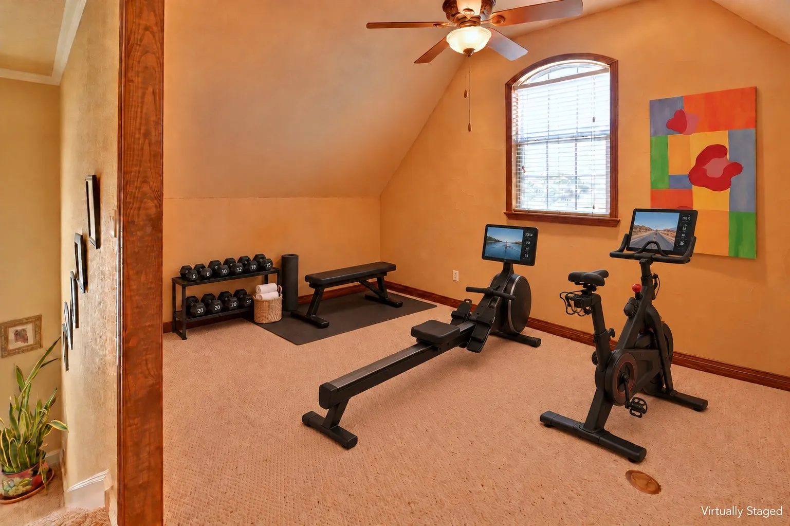 Exercise / bonus room.
