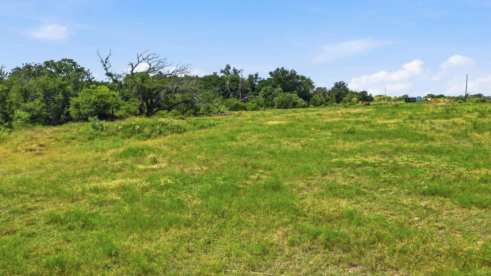 Unimproved Land For Sale in Erath County , TBD County Road 398 11, Stephenville, Texas 76401, 0, 0, Garage spaces, 0 Sqft, built in 1997, mls#21408531, Real Estate Agent in Stephenville, Homes For Sale in Erath county, Homes For Sale in Stephenville, Realtor in Stephenville Texas, Real Estate Brokerage Independent Realty Texas, Luminita Cordes Realtor