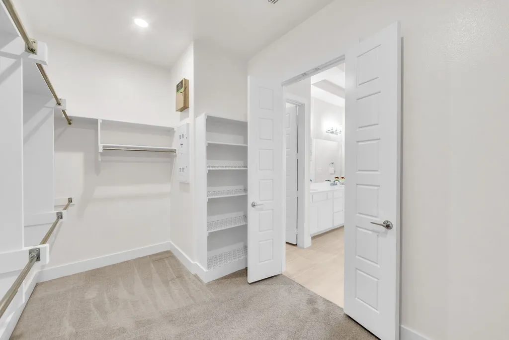 Walk-in closet featuring carpet flooring, built-in shelving, and rod storage